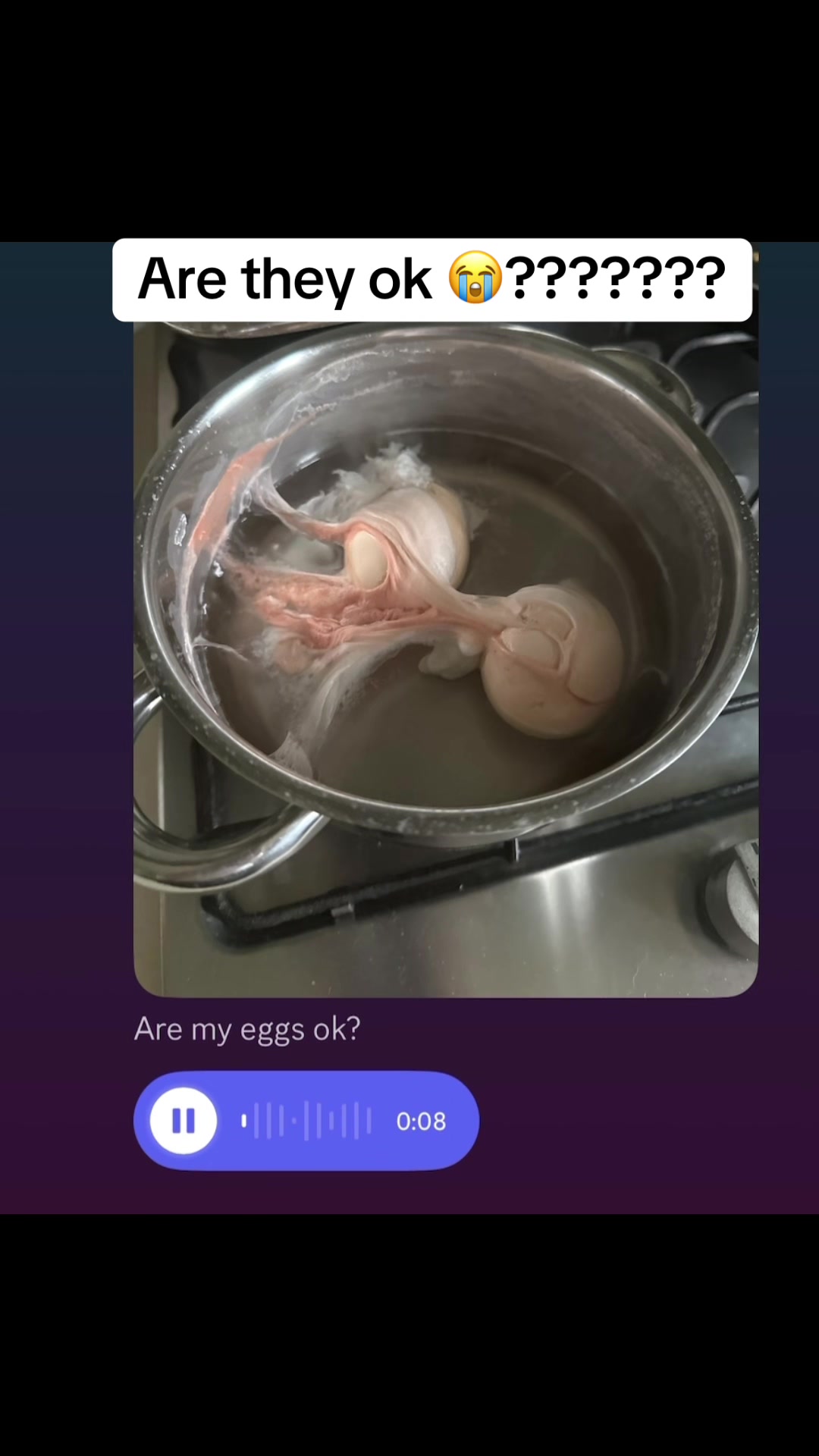 @Viwody