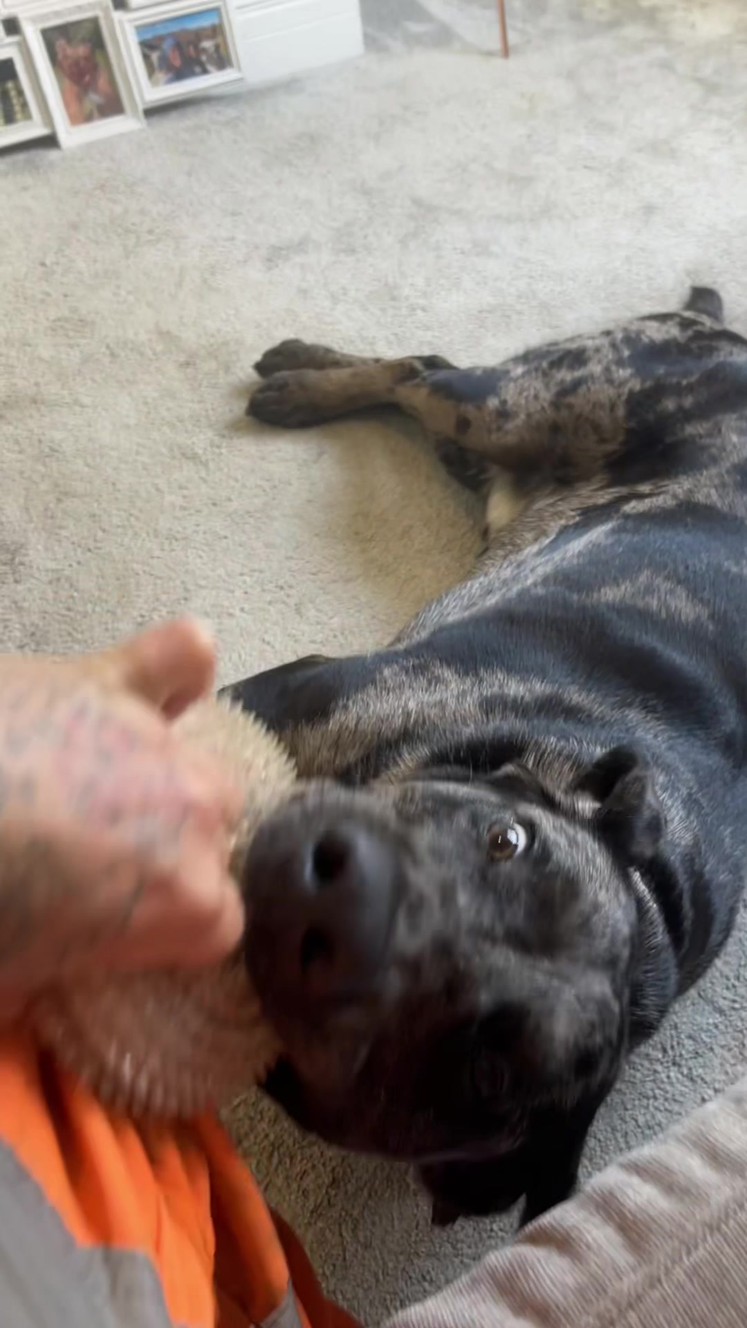 @Leotheleopardlab