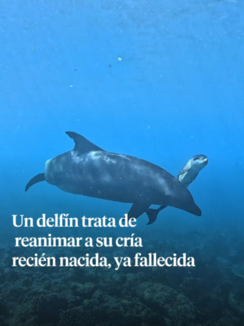@La Vanguardia 🗞