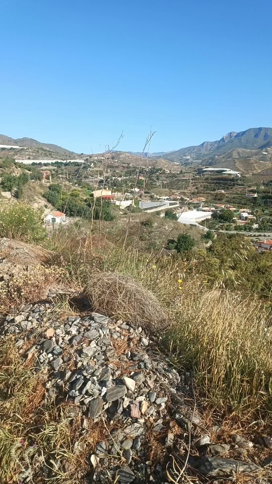 @Sergio Manuel Prados