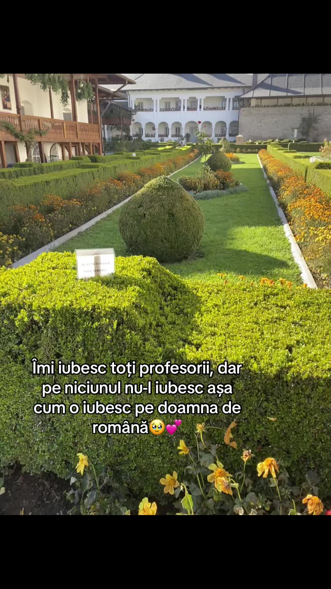 @𝓭𝓪𝓻𝓲𝓪