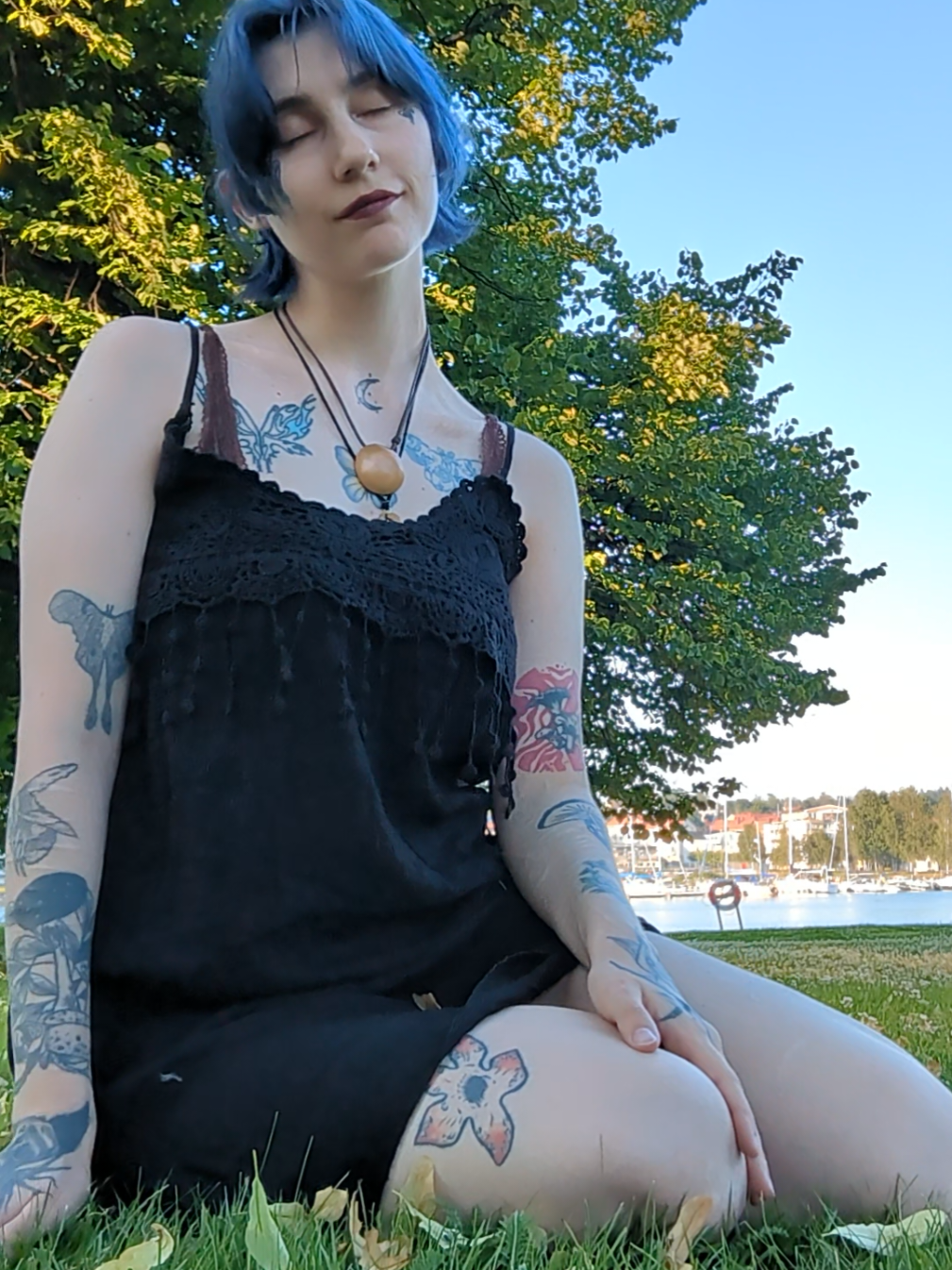 @YLVA 🦊
