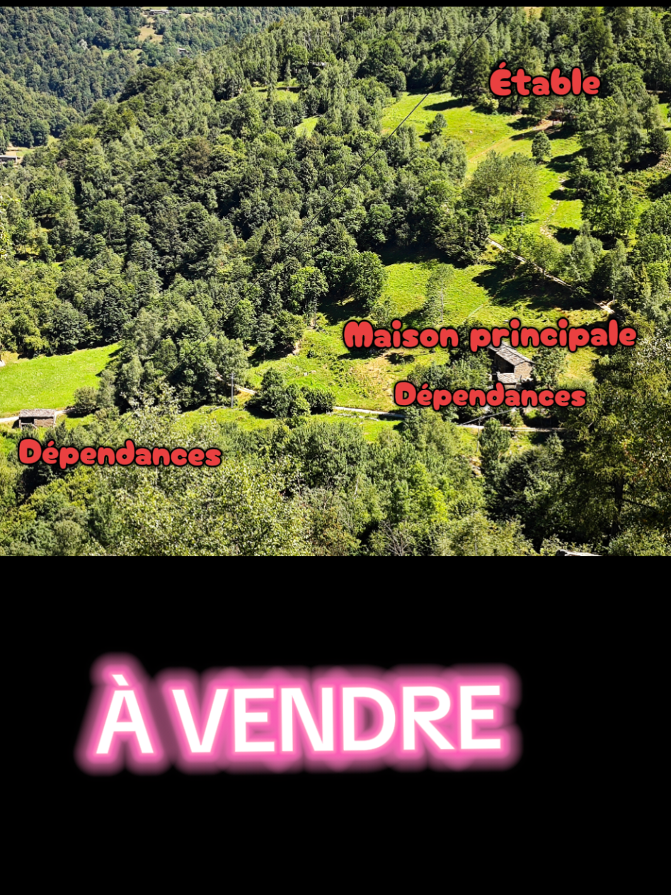 @Heidi