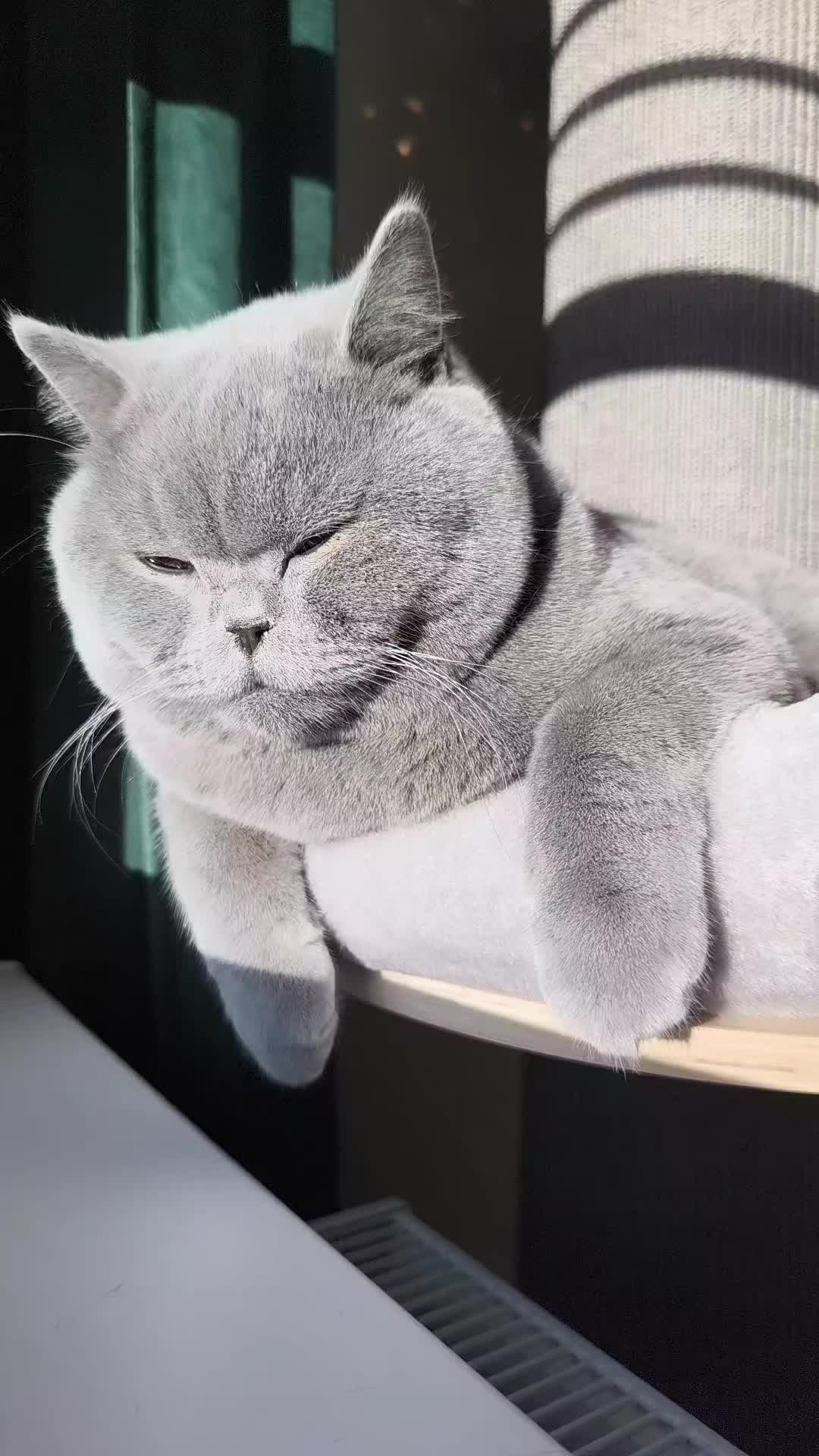 @Mateja Lang Kordiš 🤍🩵
