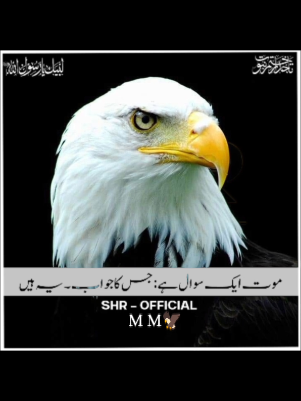 @SHR - OFFICIAL