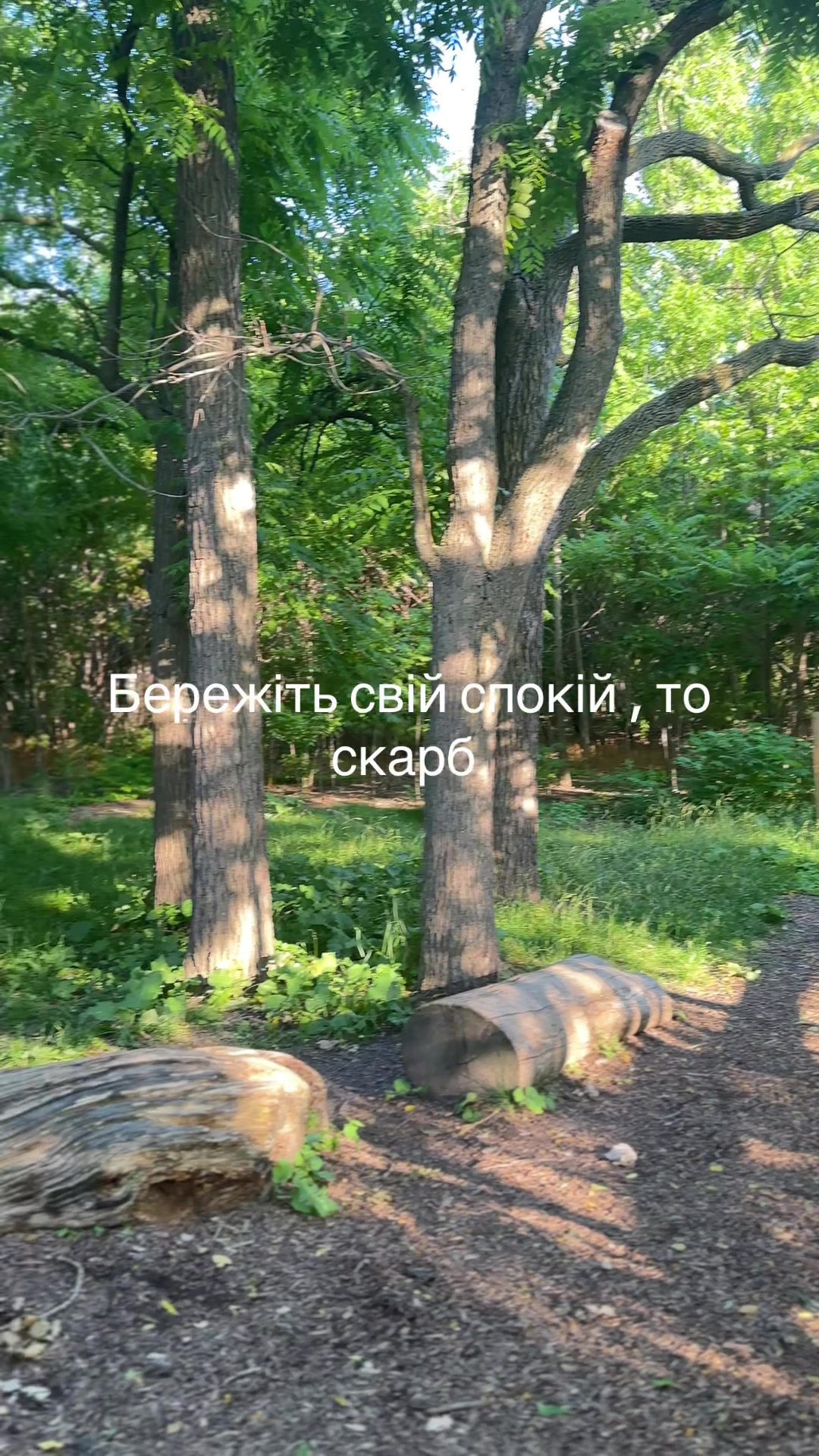 @vitas_weets