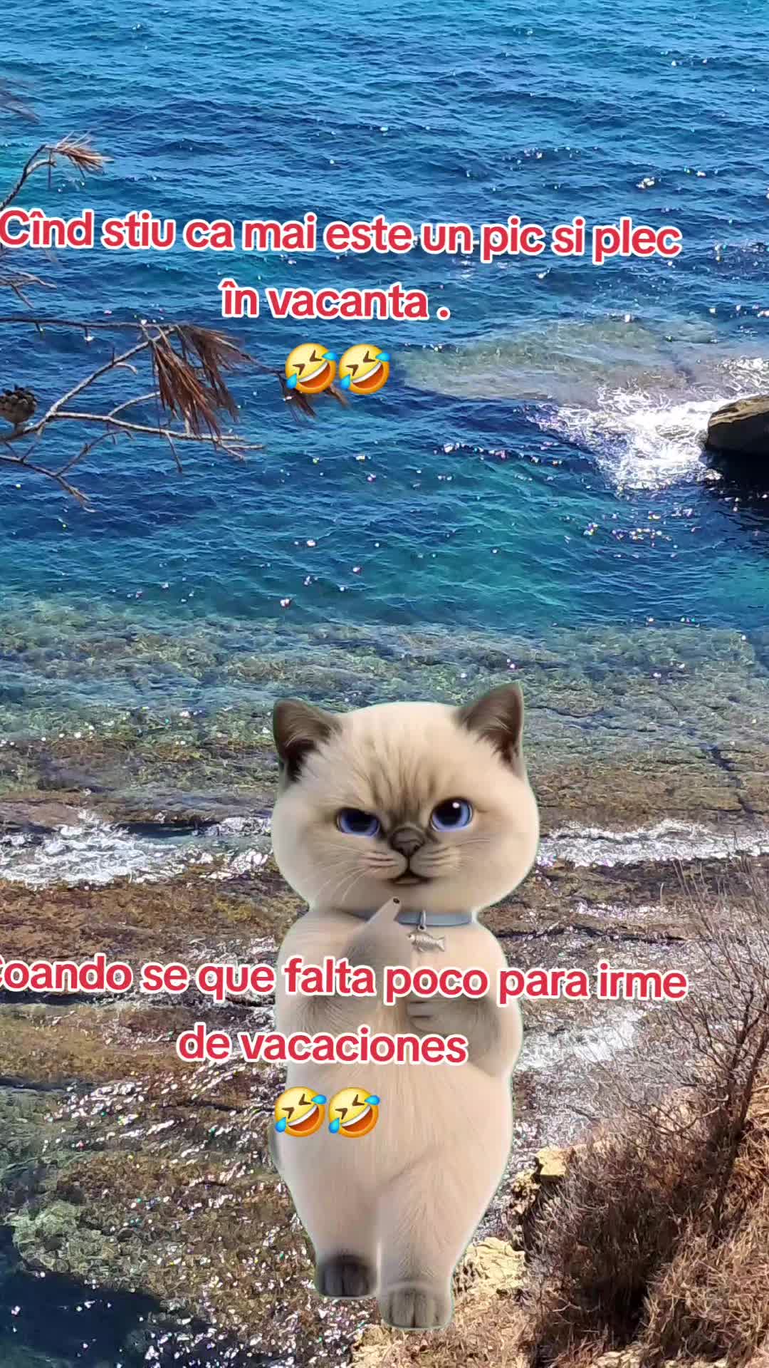 @Bibica ❤️😘