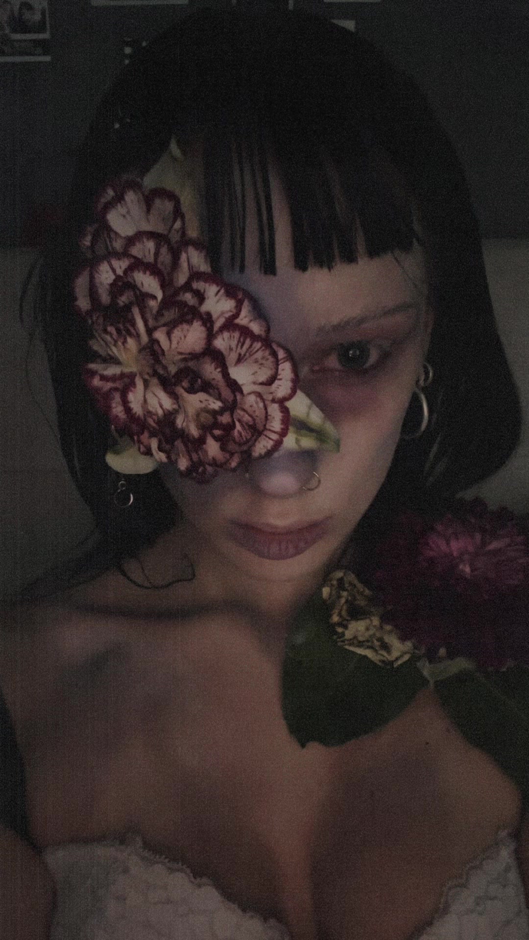 @🦇
