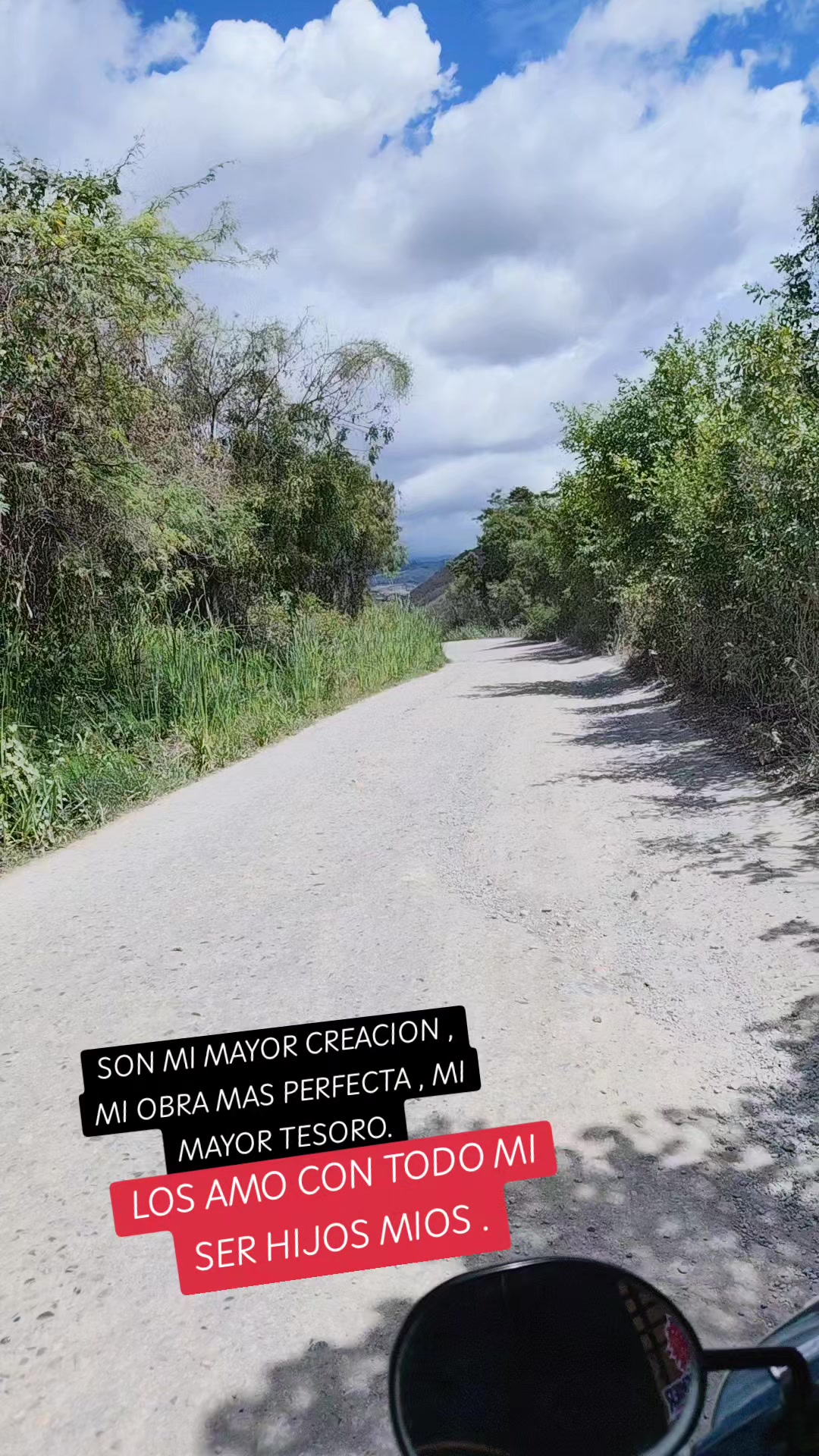 @Liliana Matta Berrios