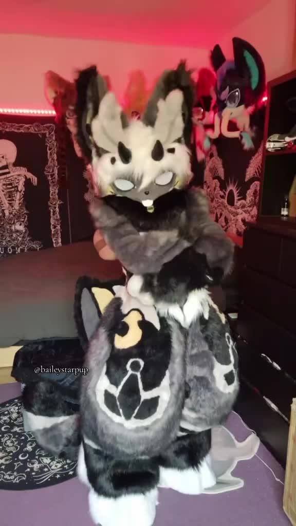 @Bailey (lilpixiekitten)