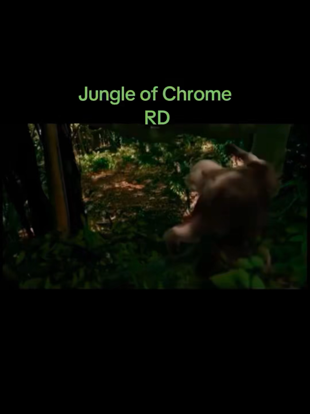 @RD