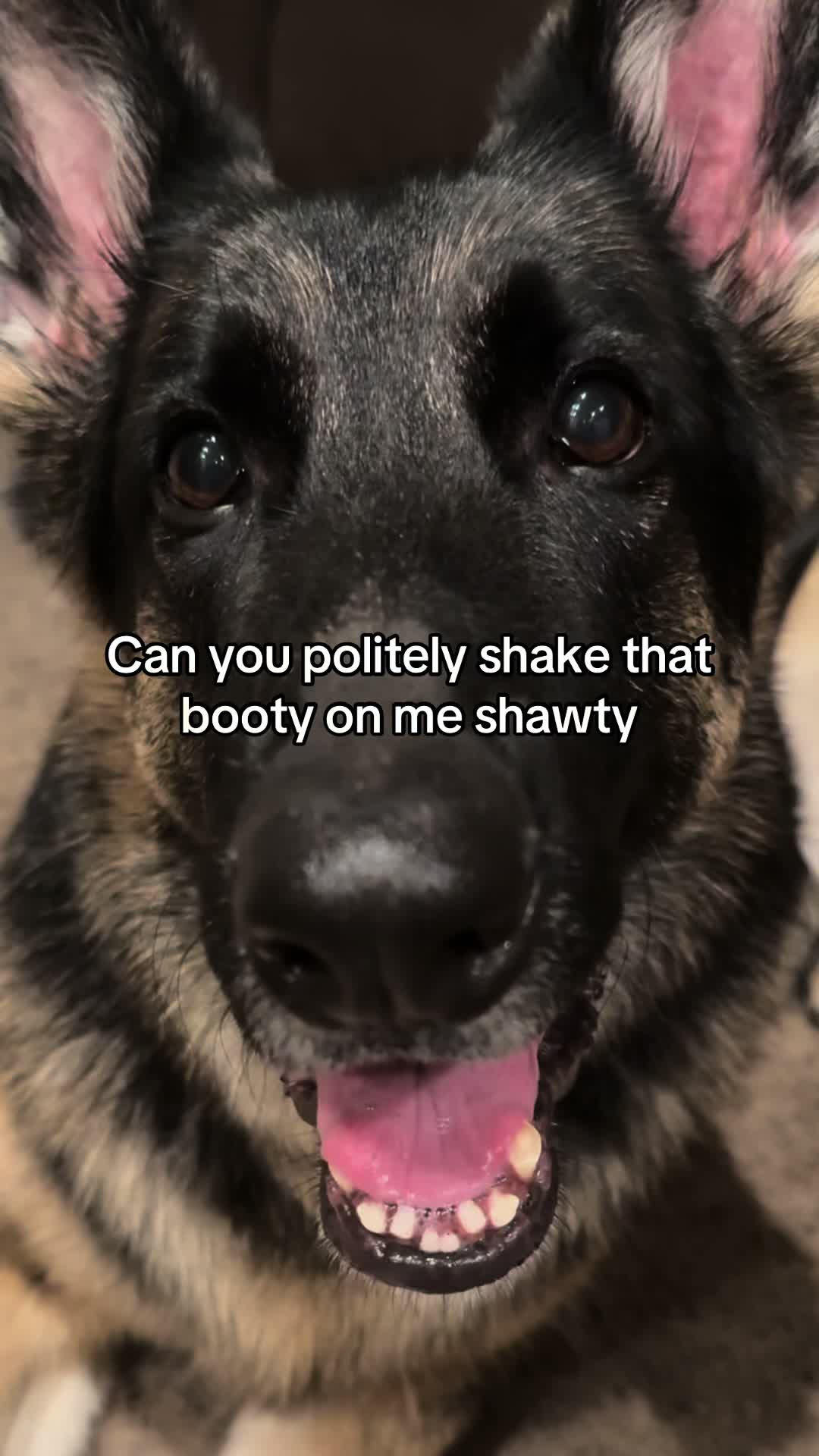 @Bhris
