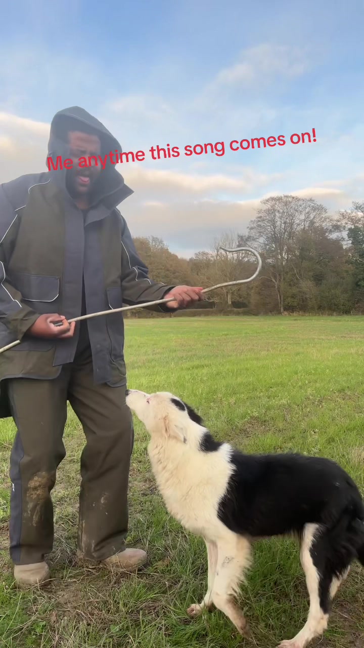 @Life in the Dog lane
