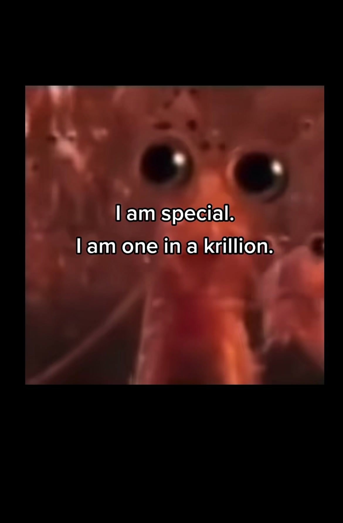 @old_sounds8