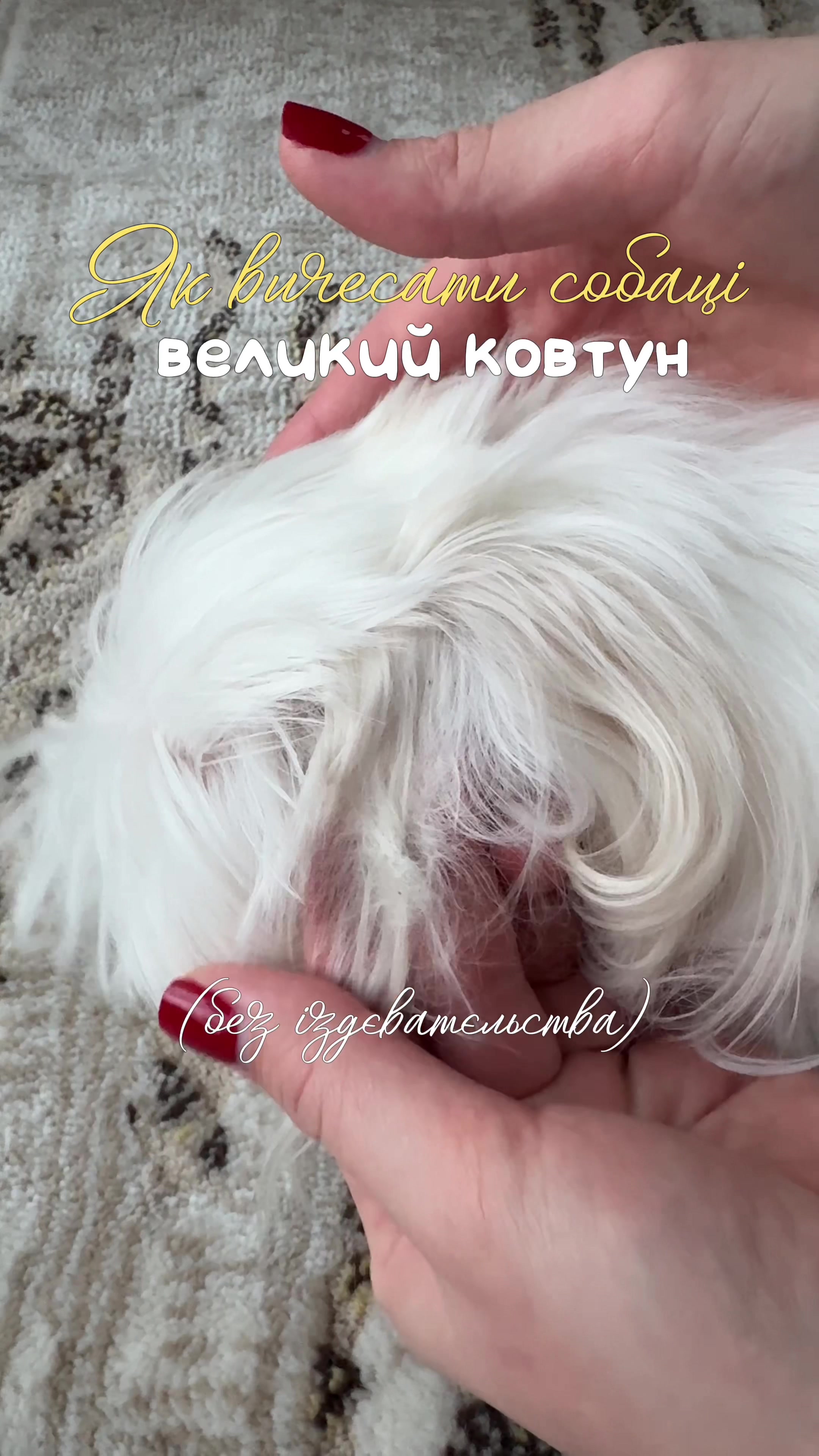 @I'm Eti 🐶🇺🇦