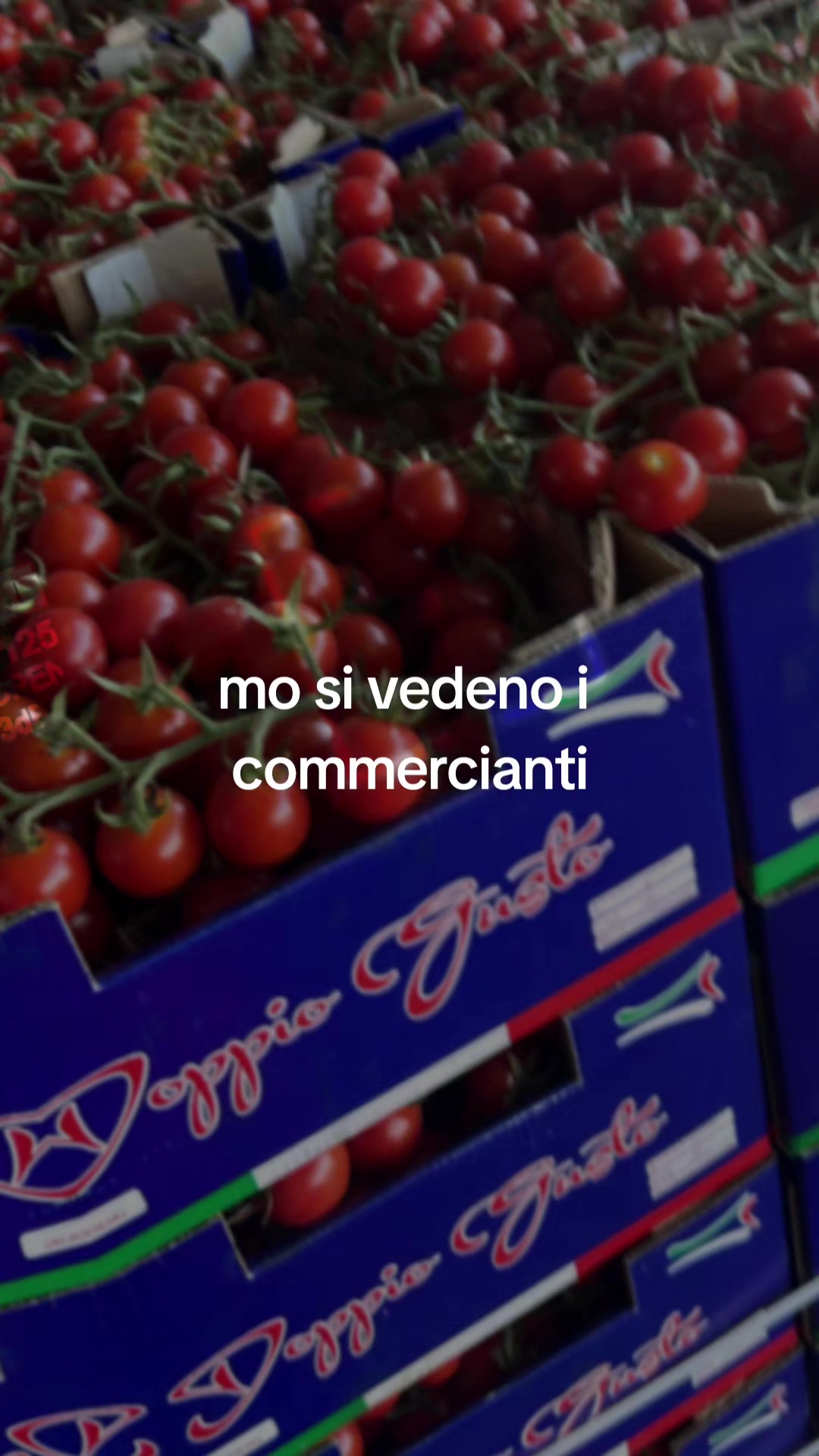 @antonio Hollywood
