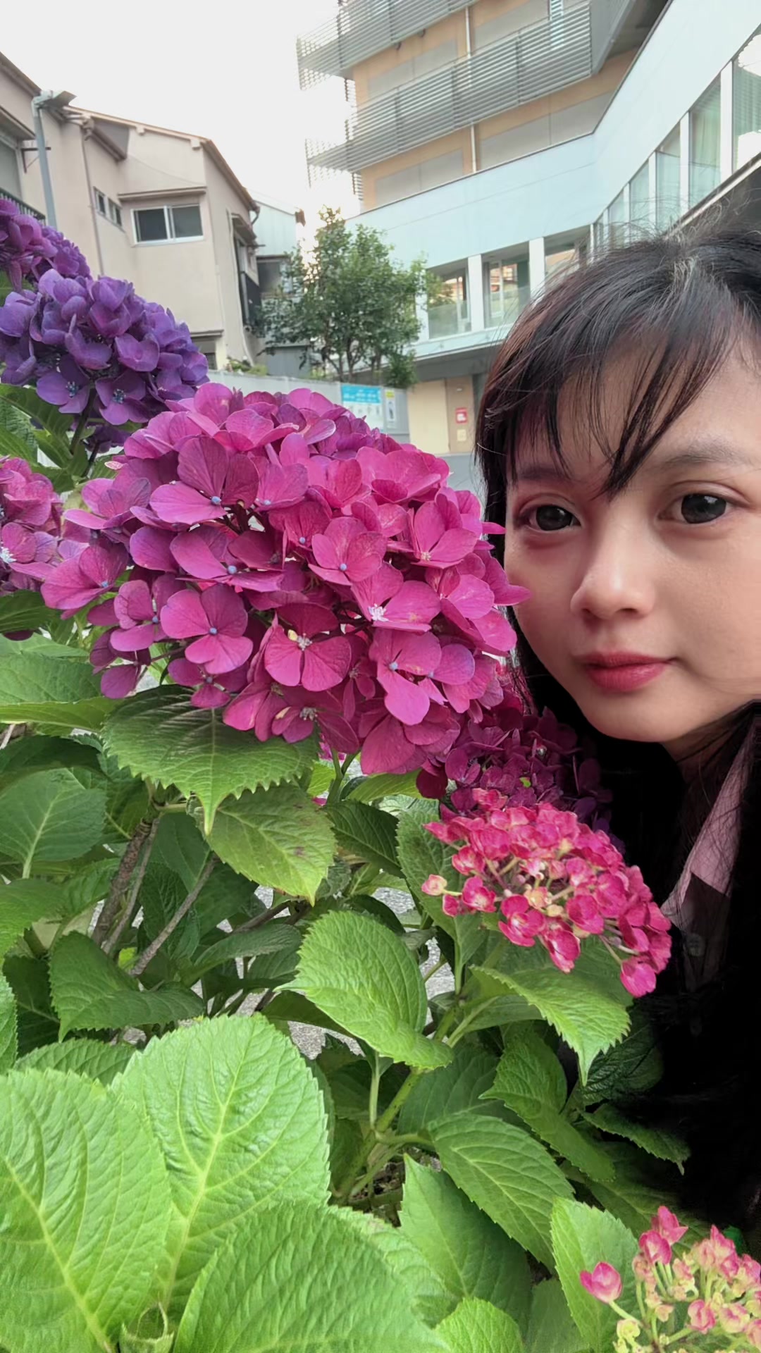 @alfymochi