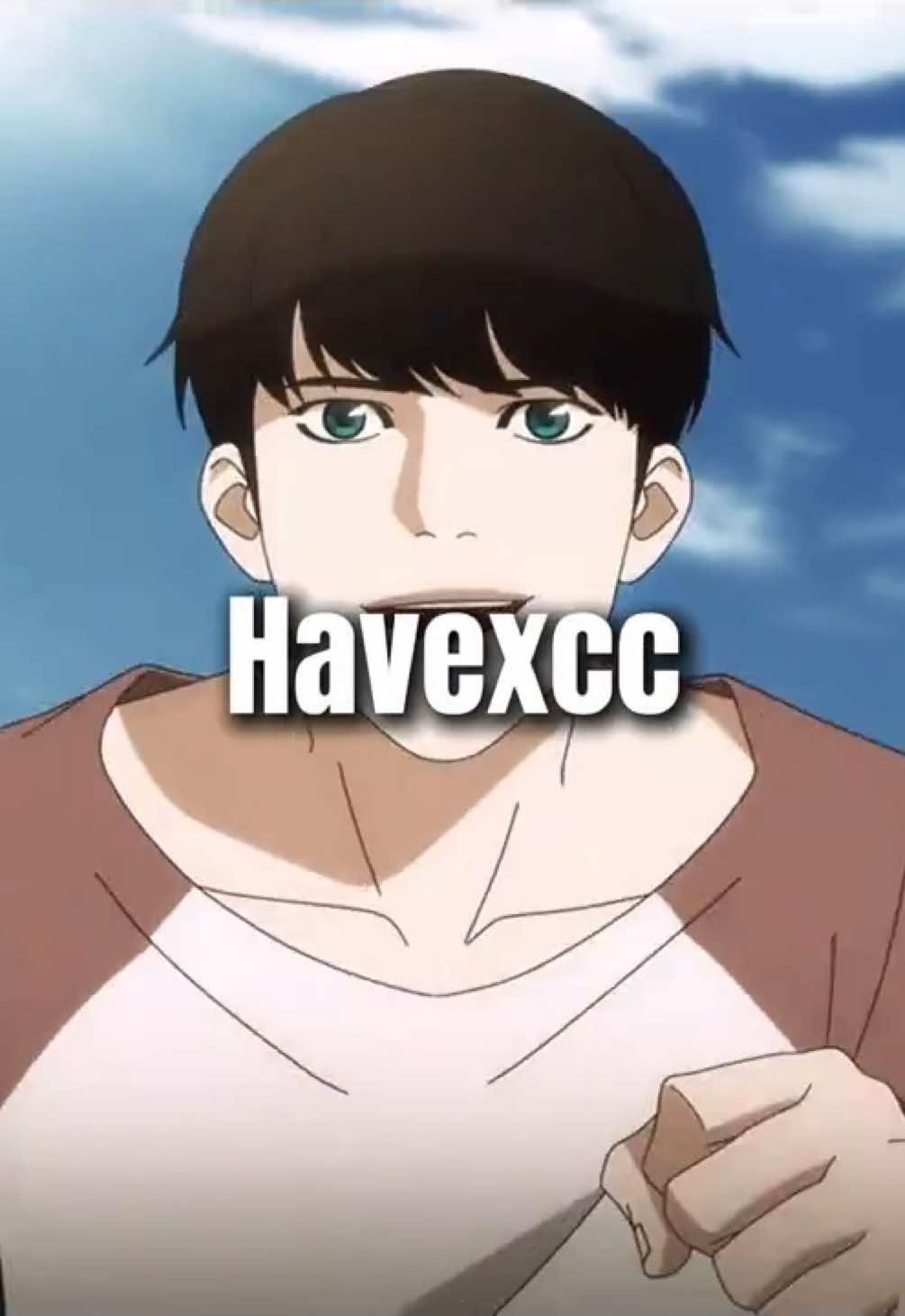 @Havexcc