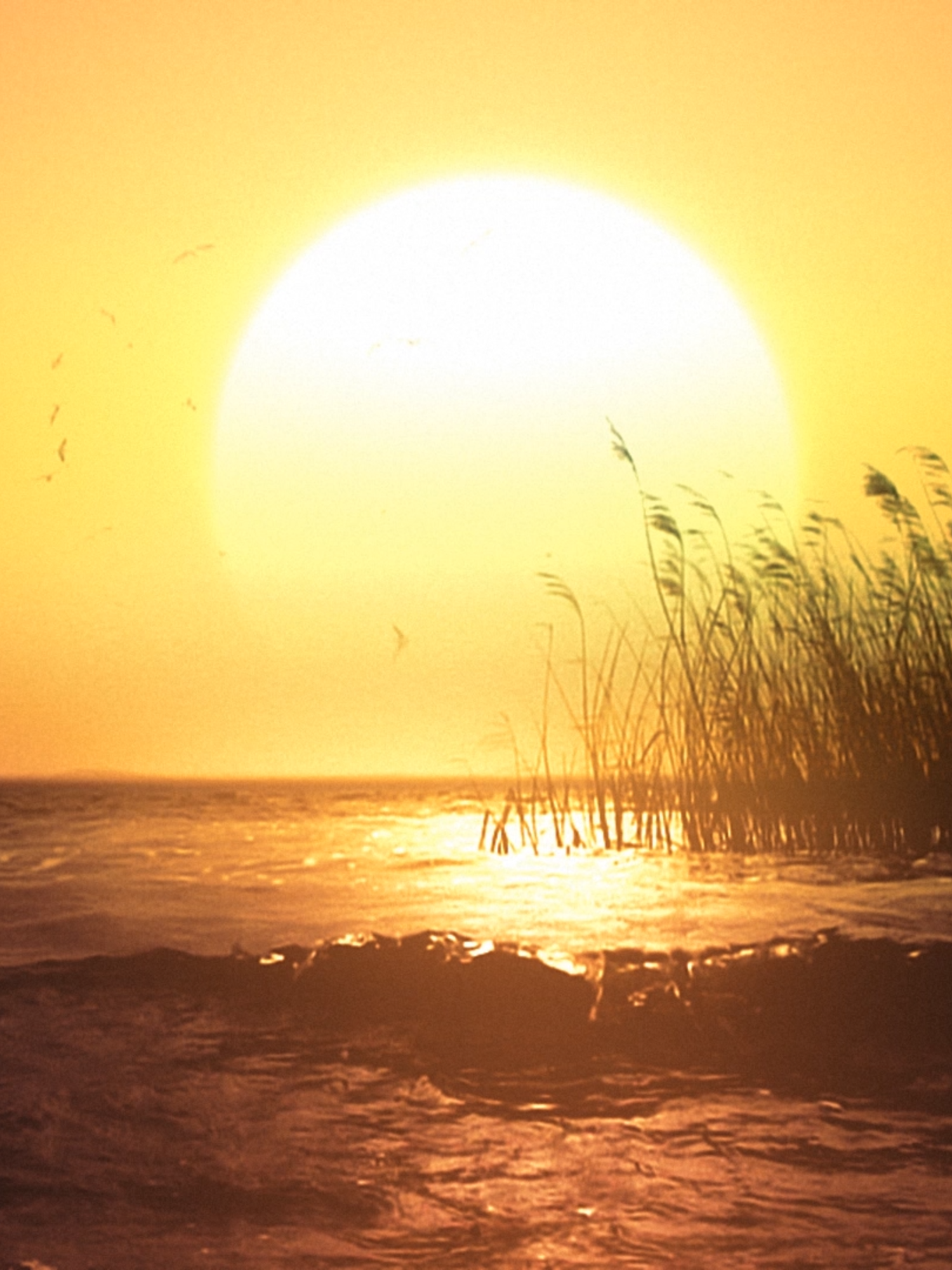 @Soothing Relaxation
