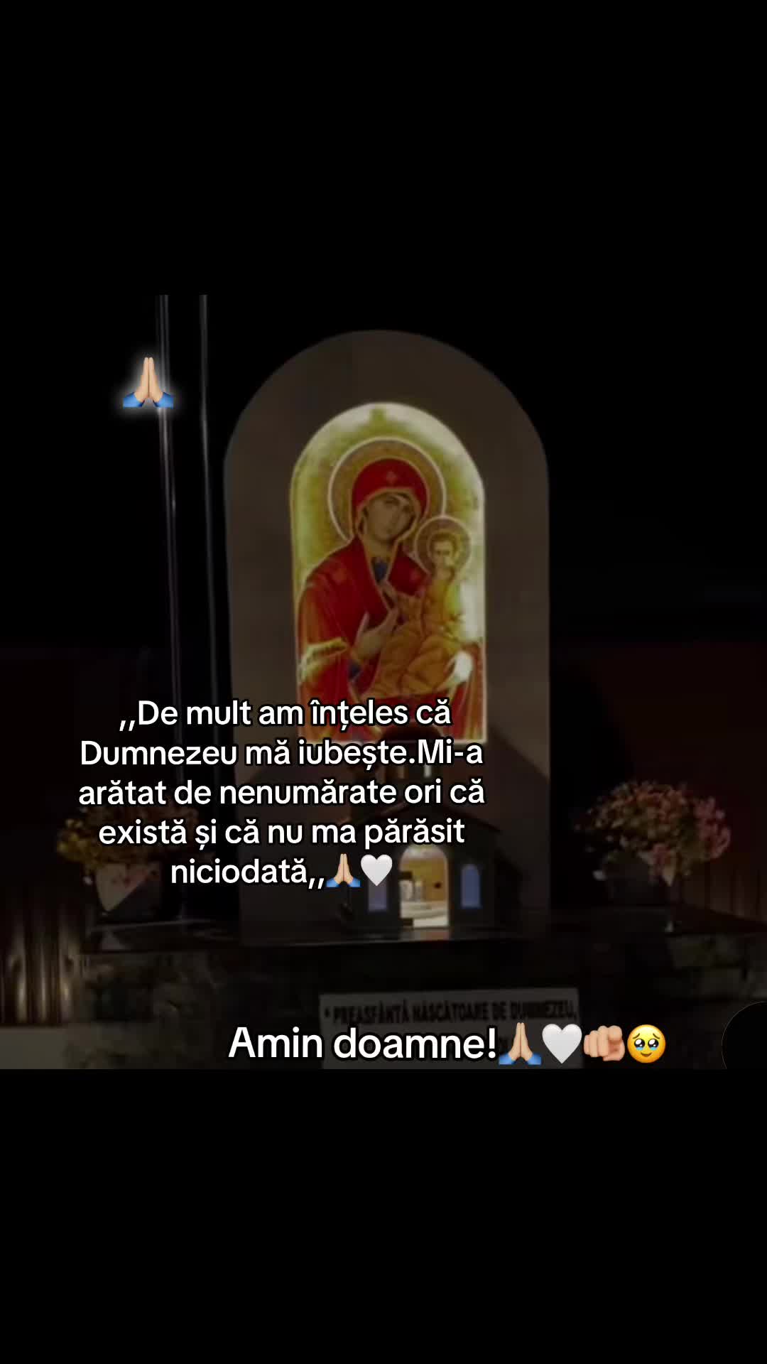@❤️🩹Melodii&Citate❤️🩹