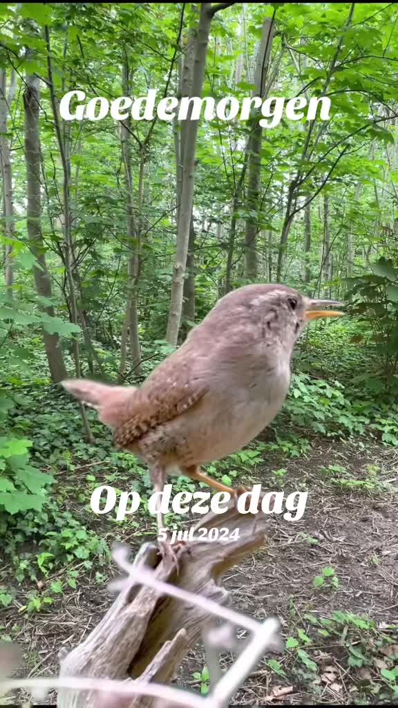@Veveke 🇧🇪