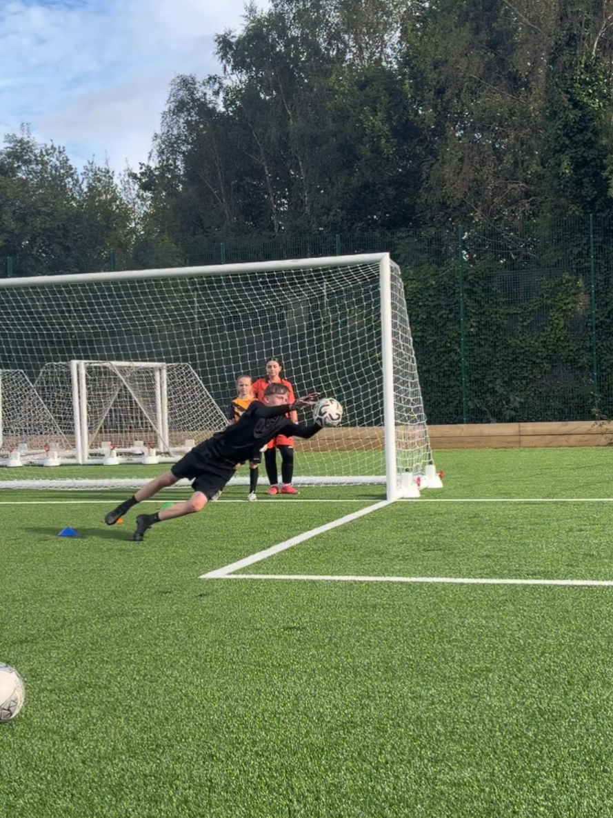@hodge_gk