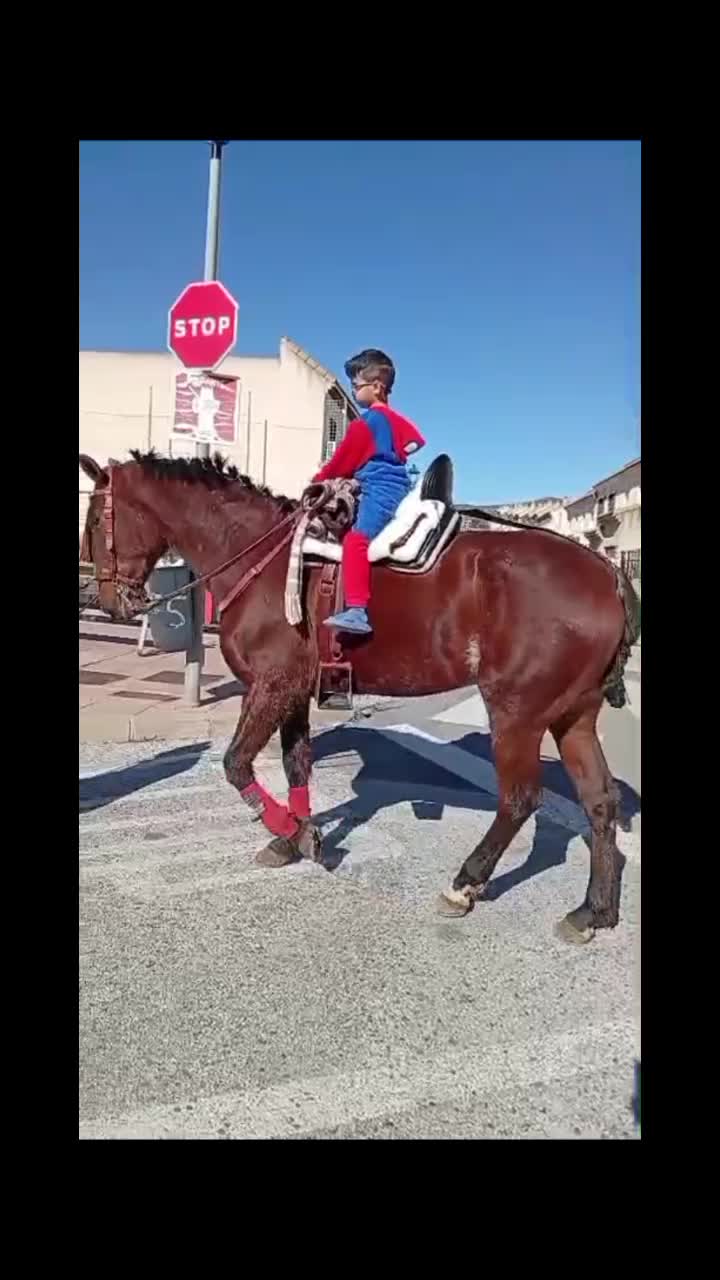 @antoncampos23