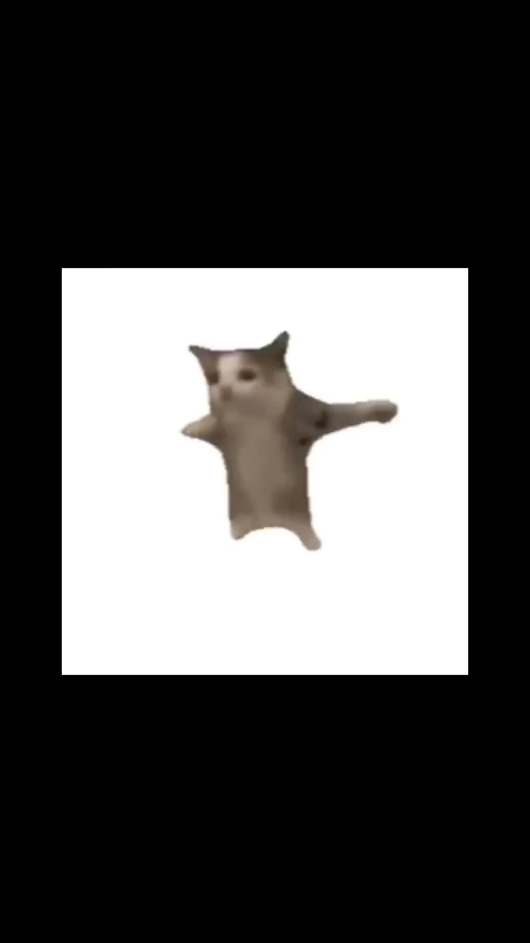 @ash :3