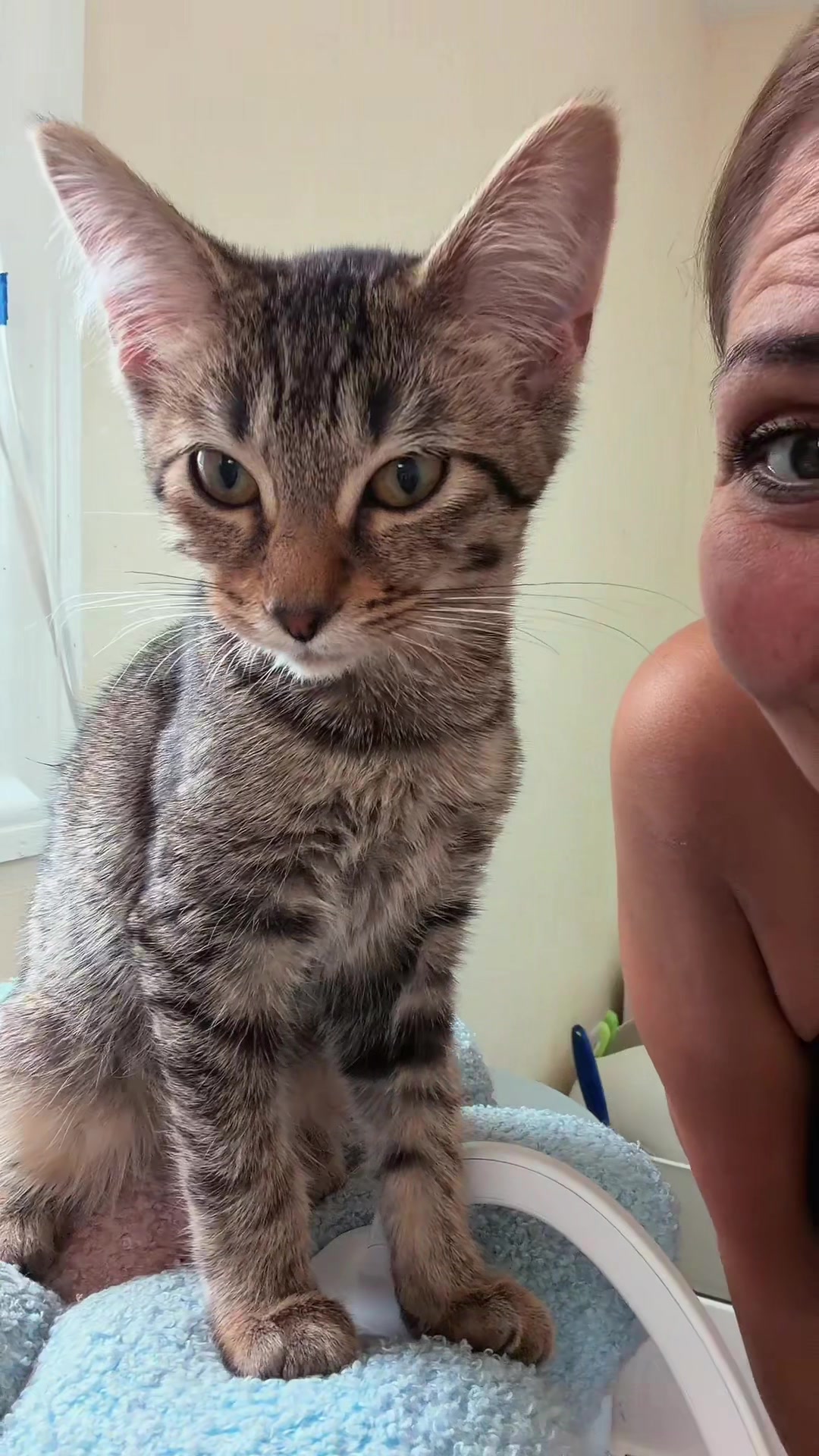 @Emookitkats
