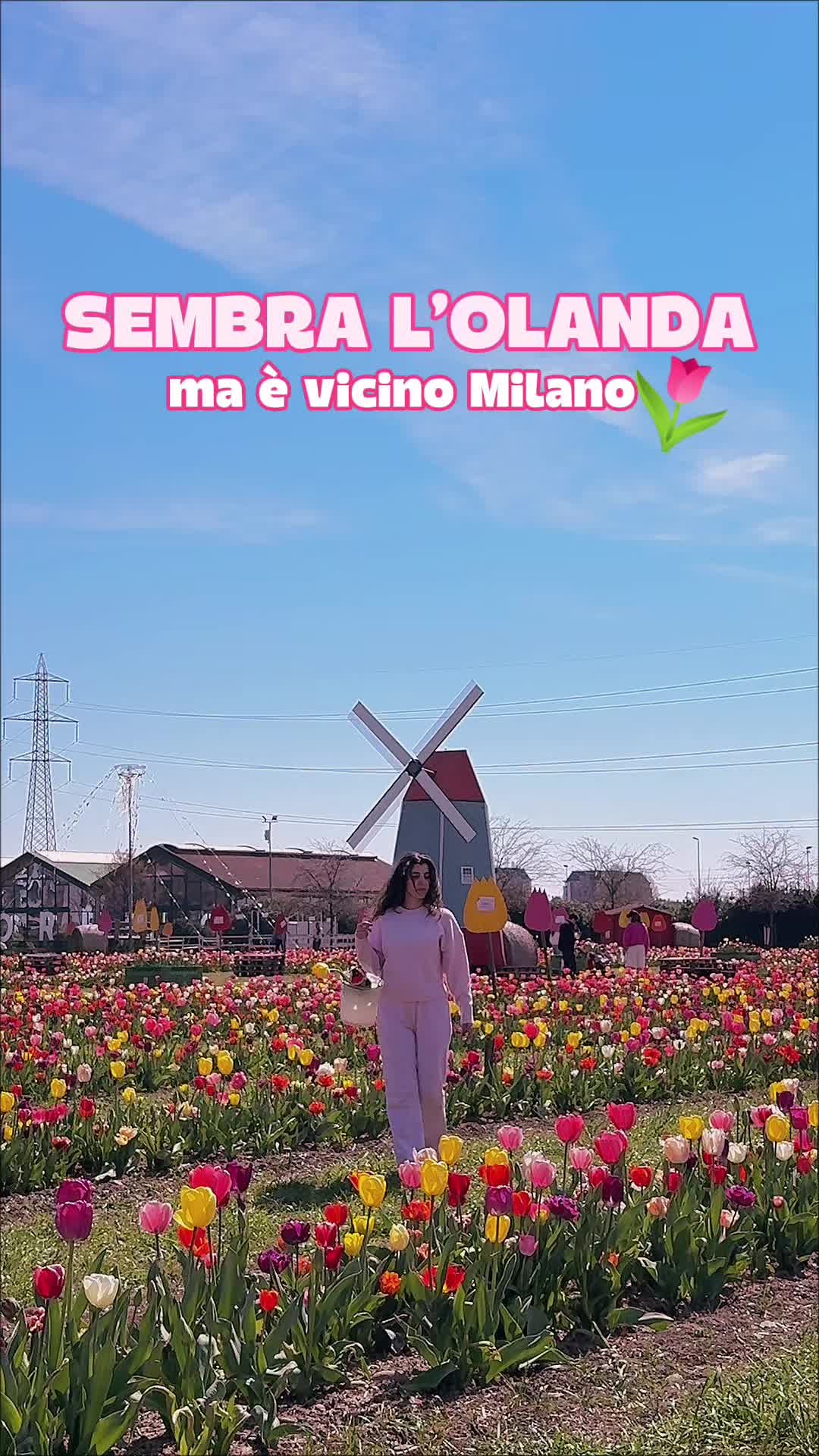 @Veronica | Travel creator