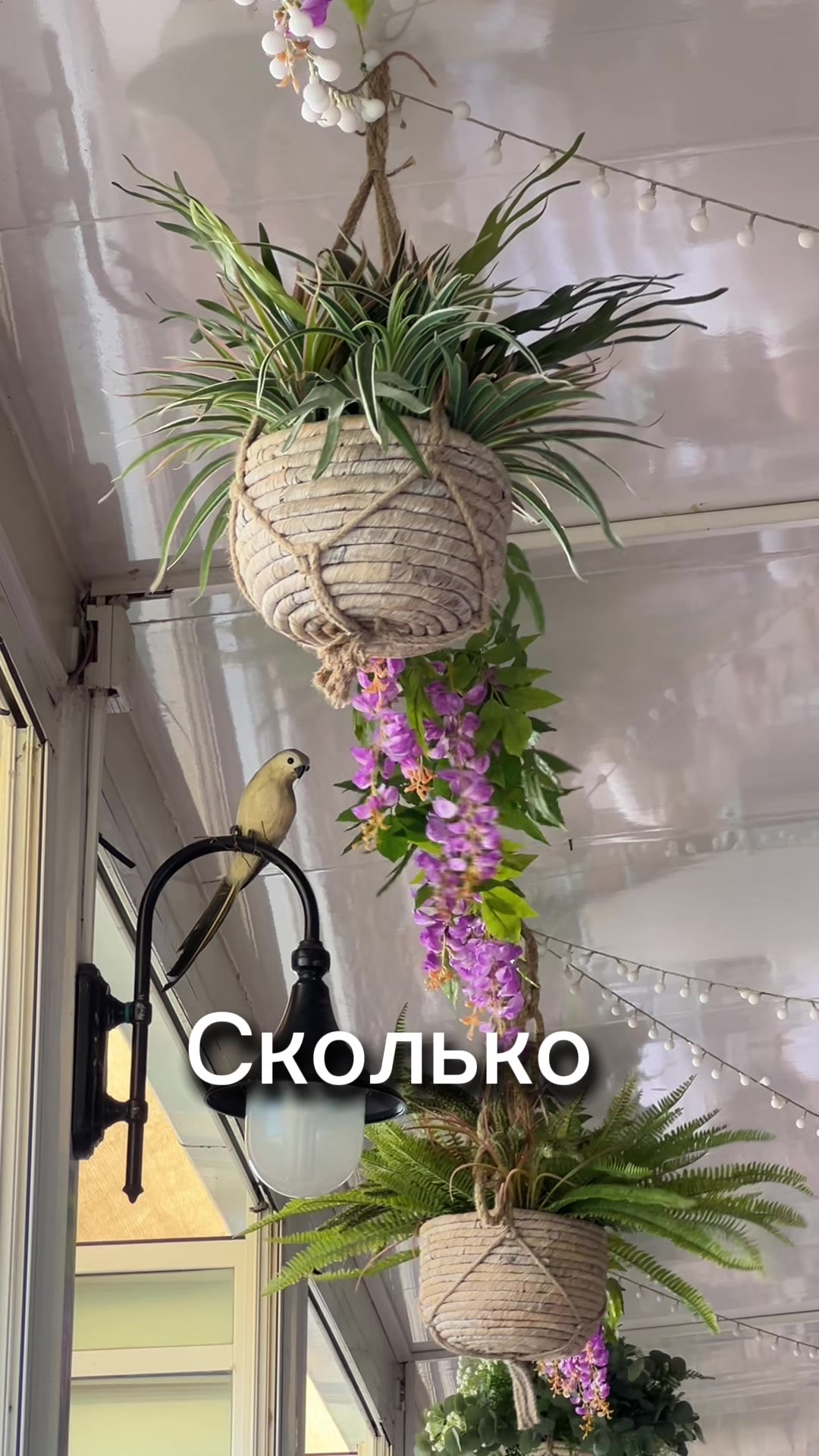 @Veronika Stella