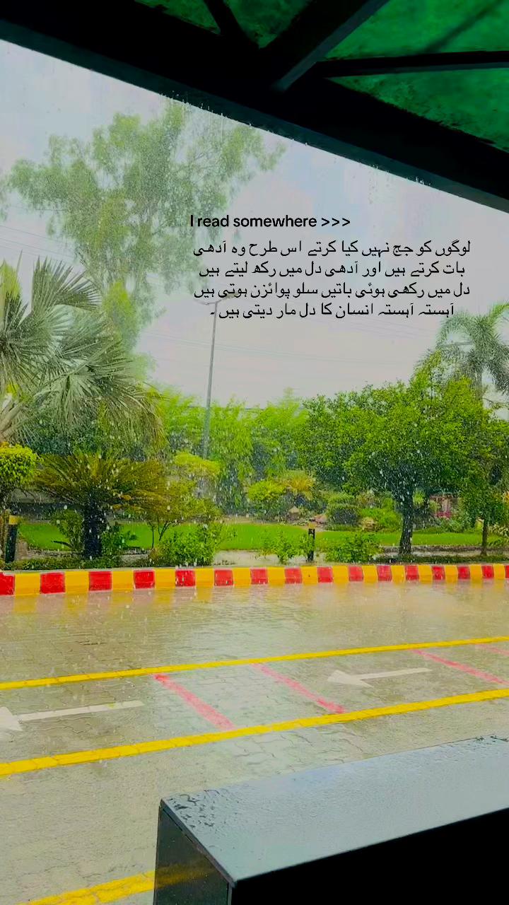 @maryamrajpout86