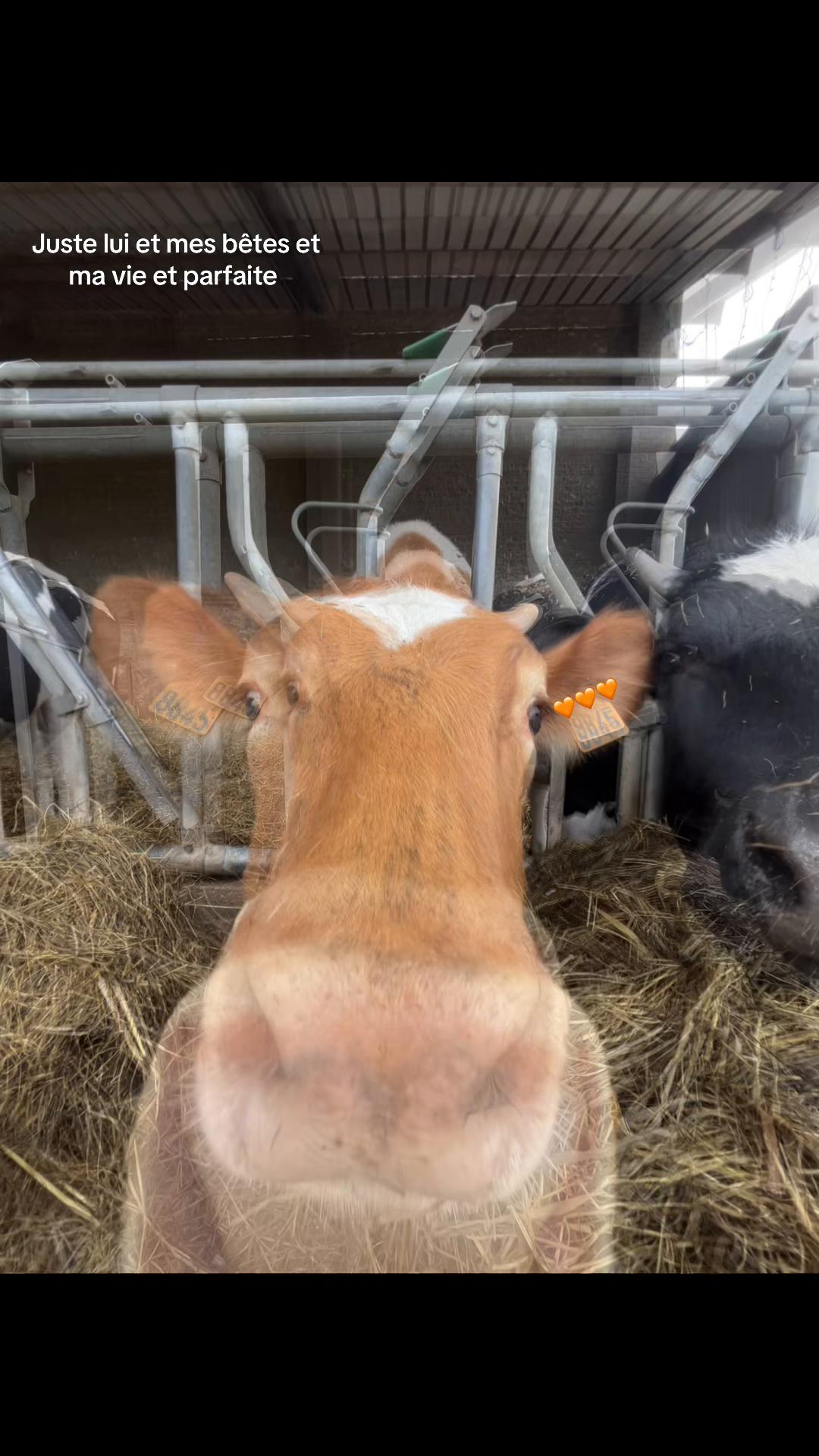 @Océane 🐄🌾