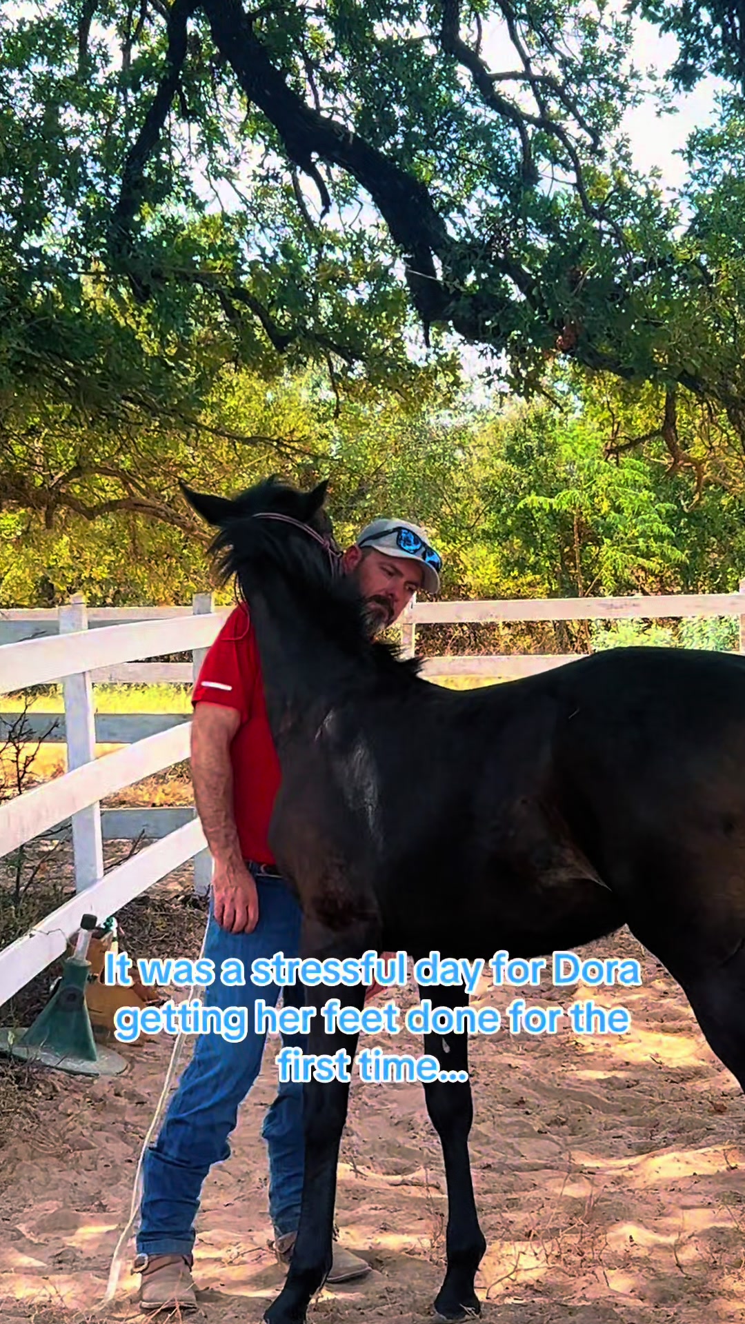 @Freedom Equestrian Center