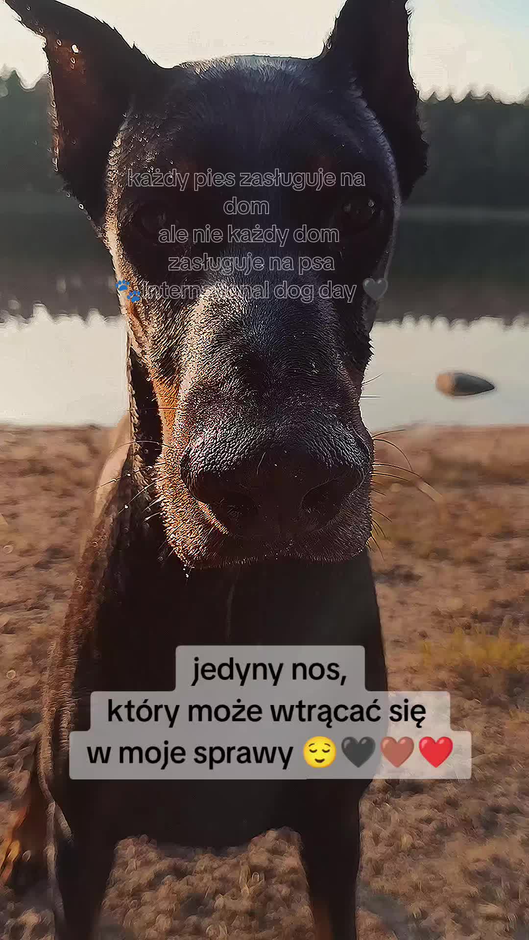 @🌪️ 𝗧 𝗔 𝗦 𝗠 𝗔 𝗡 🌪️