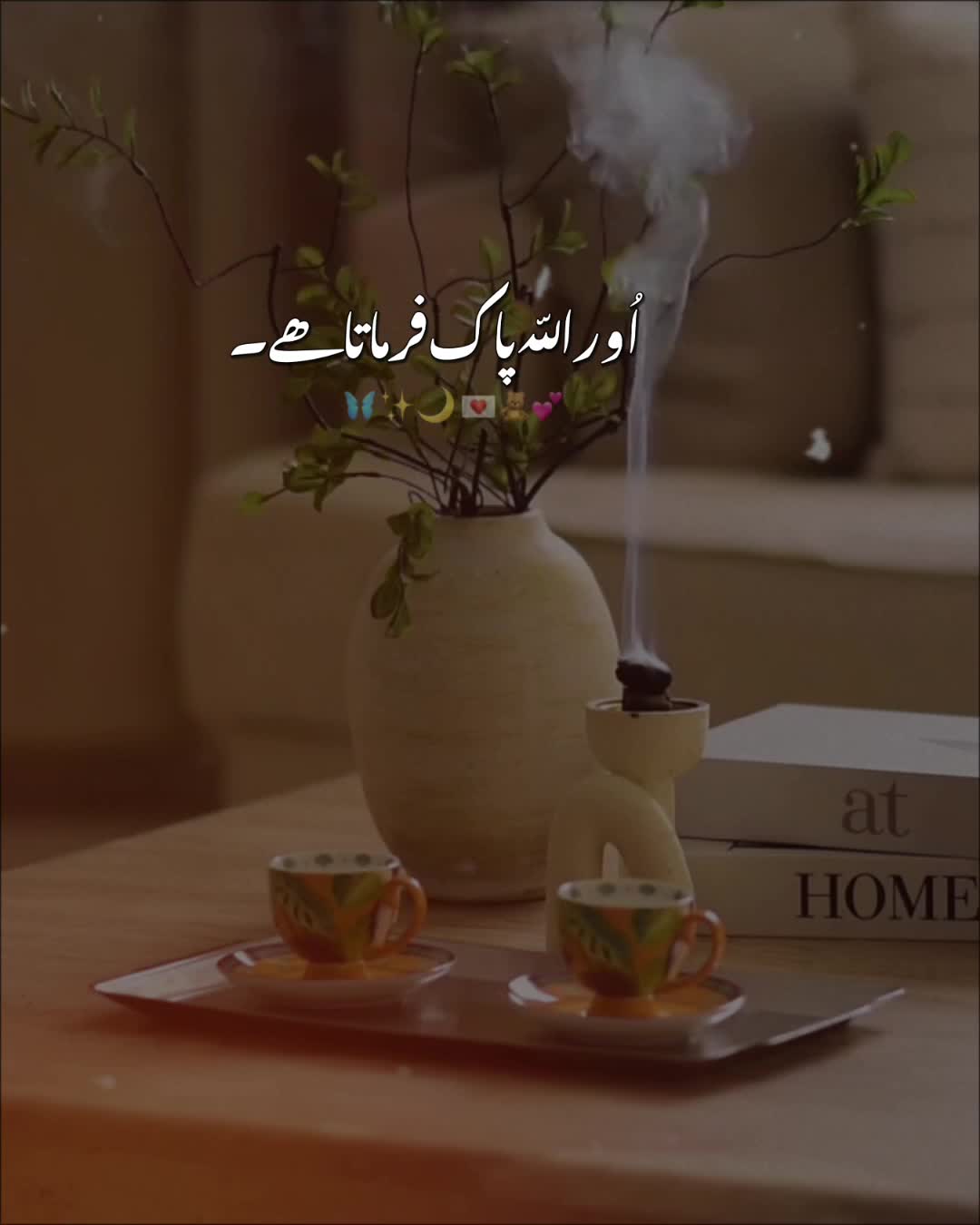 @MaSuMa  BiBi
