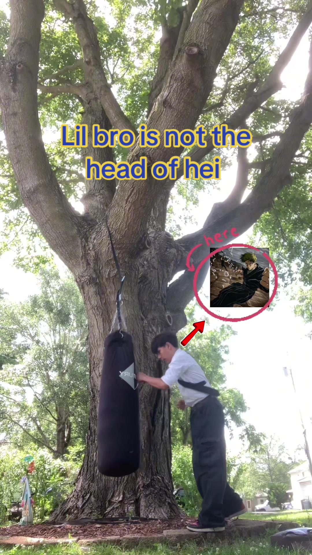 @Jmijo