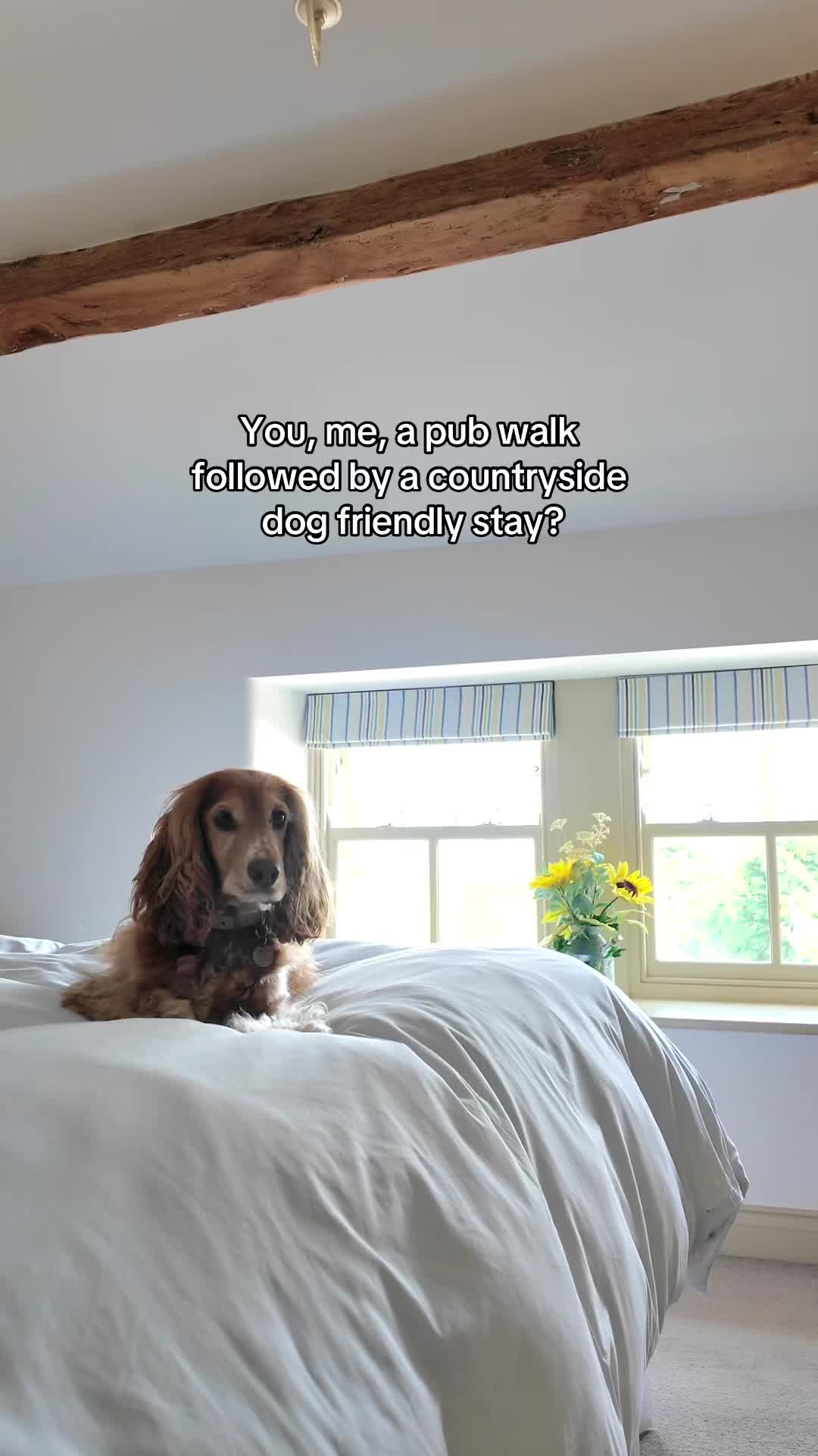 @lifelunaandlandscapes
