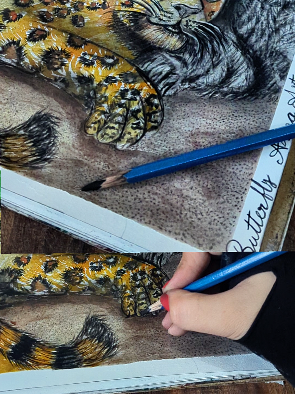 @ButterflyAsmaArt