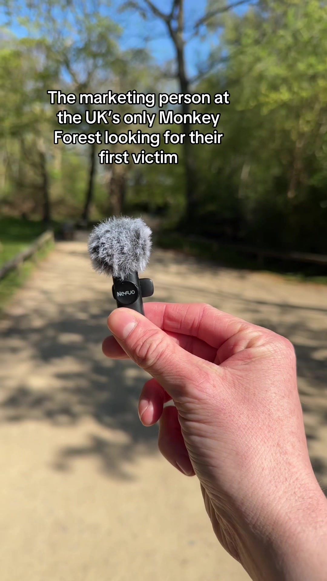 @Monkey Forest