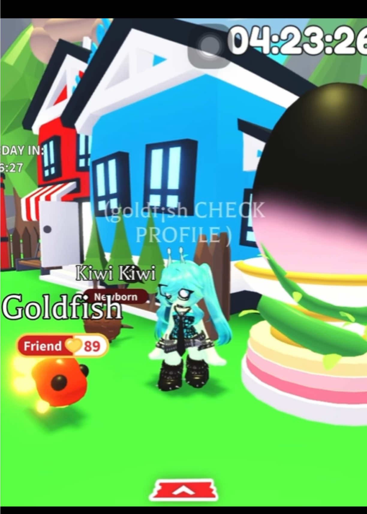 @goldfish