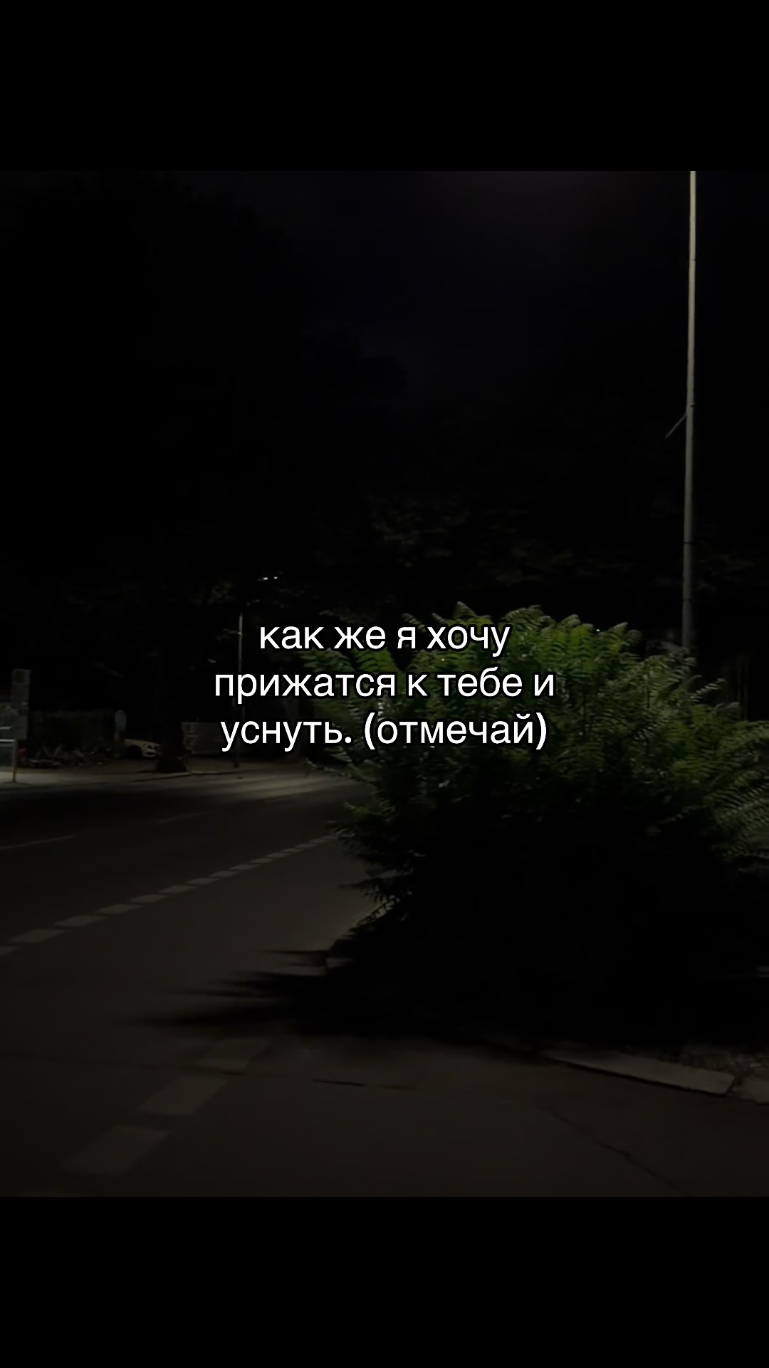 @мяу мяуууу