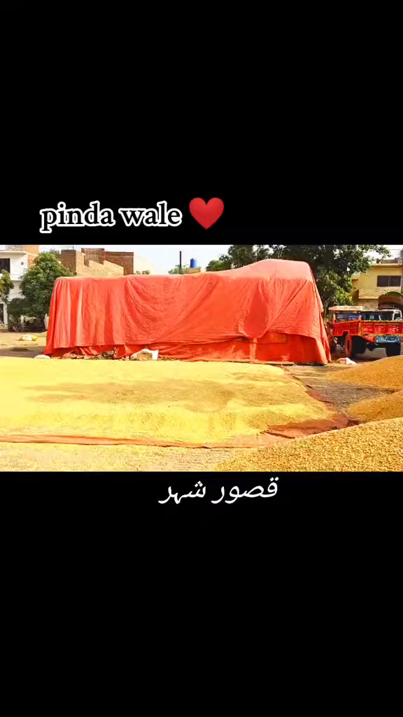 @❤️🩹شانی سندھو 🌱🌾