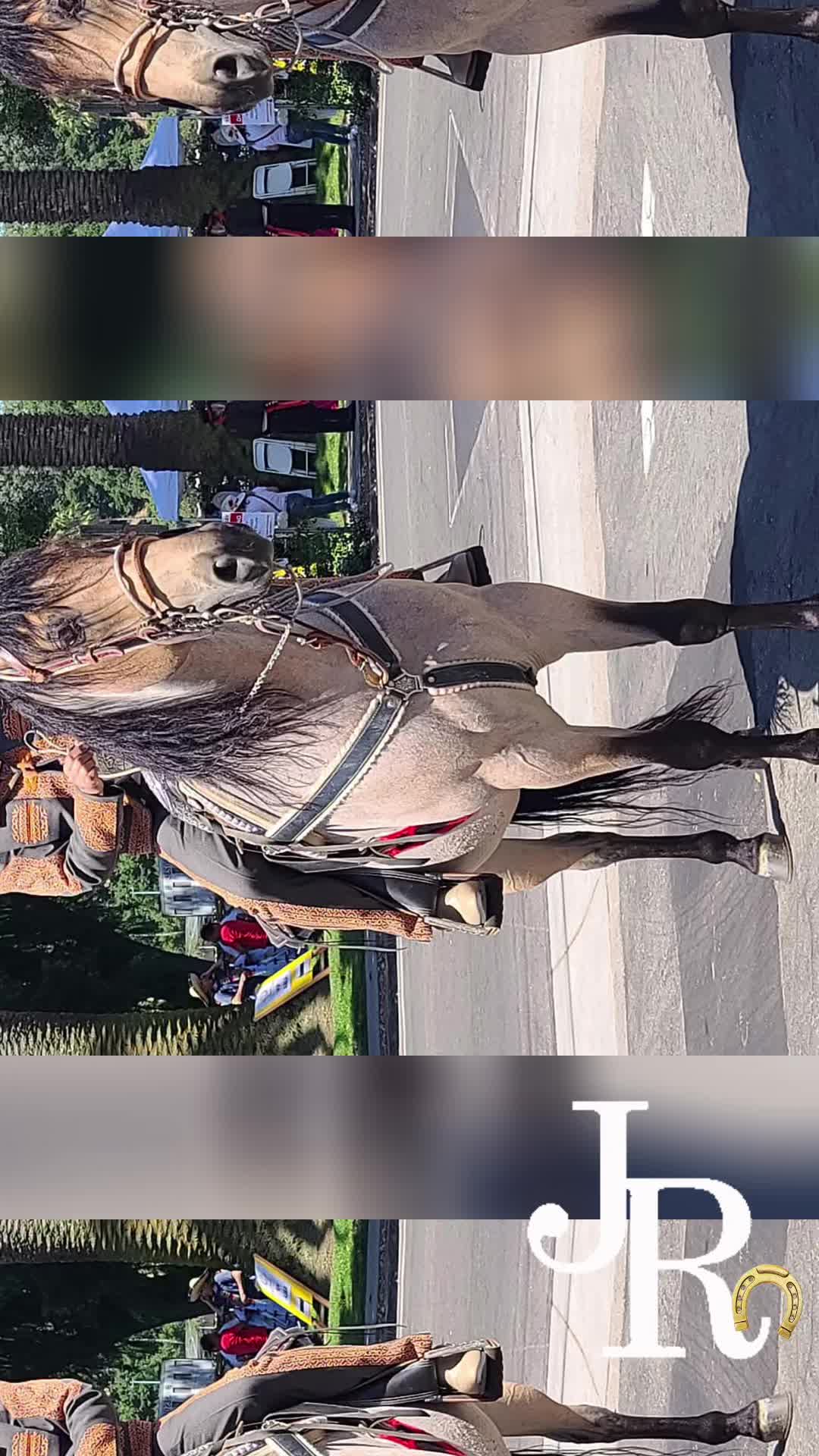 @Rancho Arroyo Charros