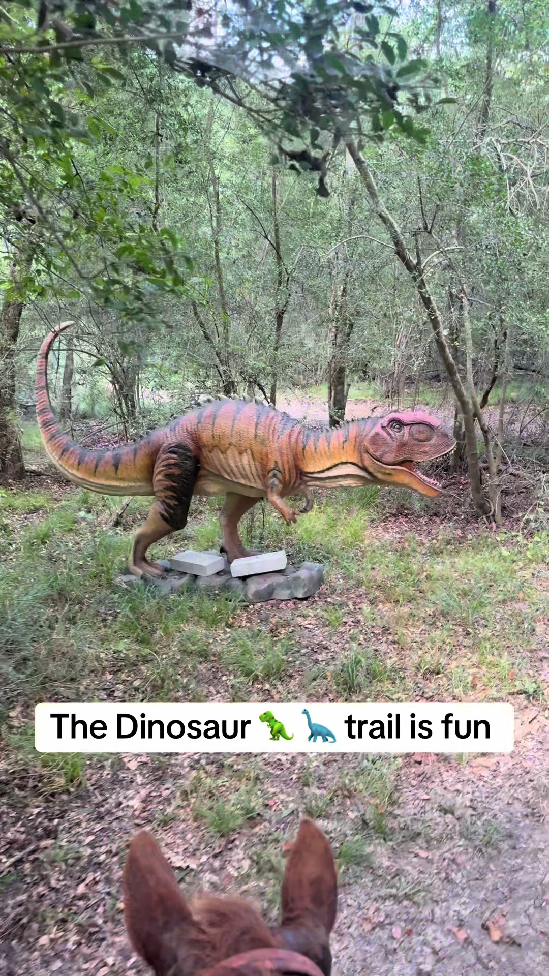 @bestlifetexas