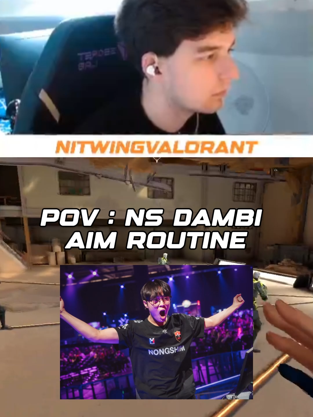 @nitwingVCT
