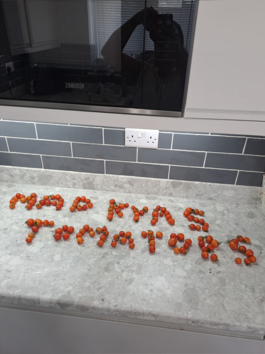 @MAD kyas forever growing💙🧡💚