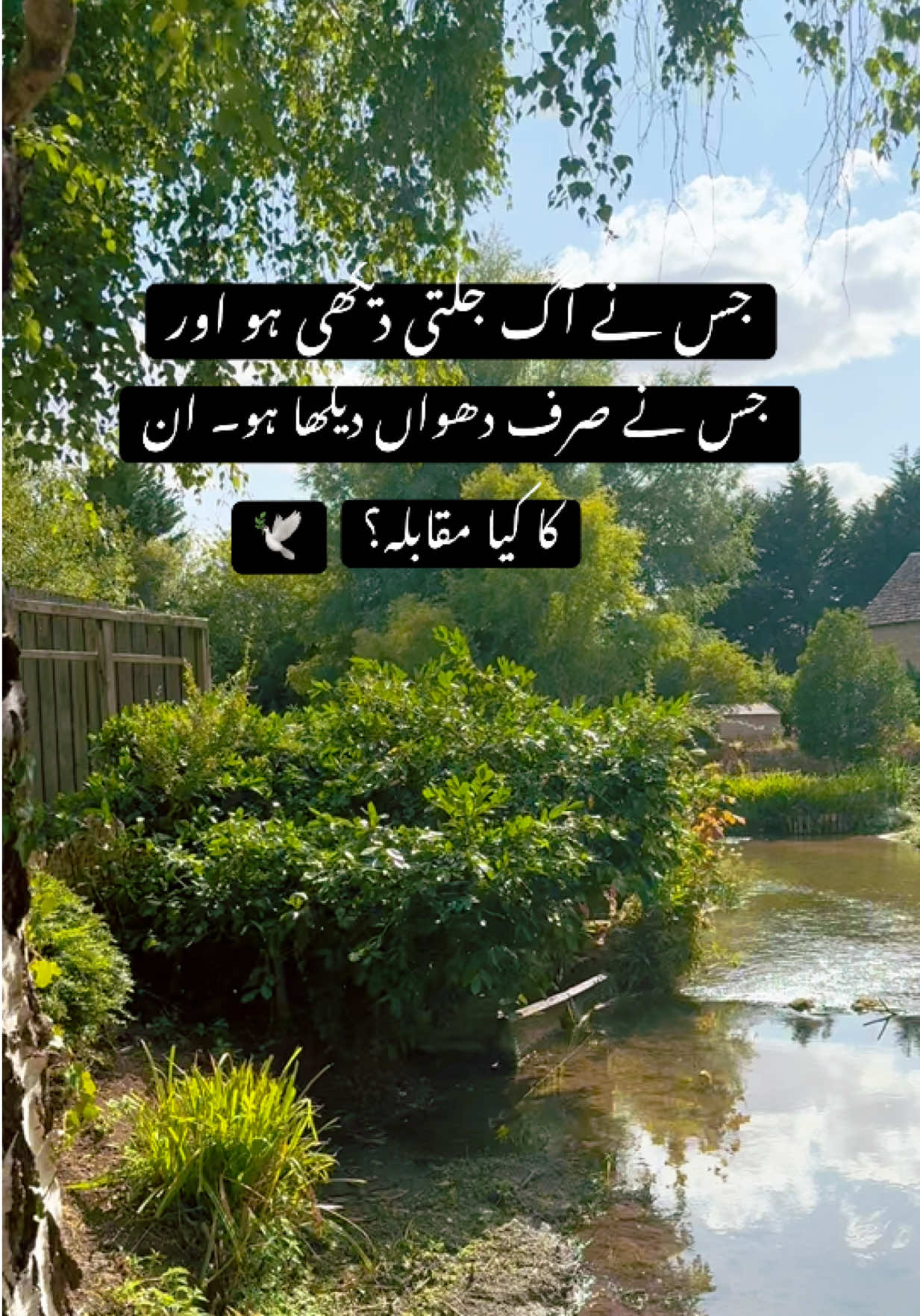 @Noor