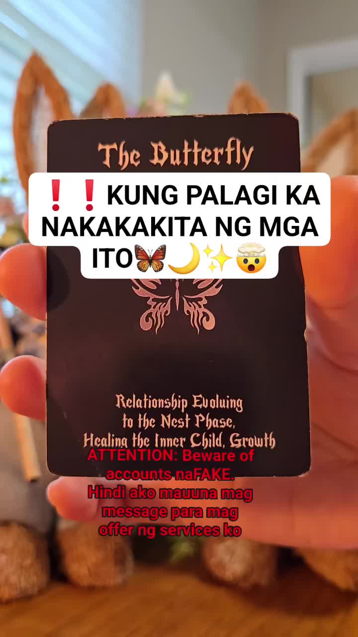 @thetarotreader11.11