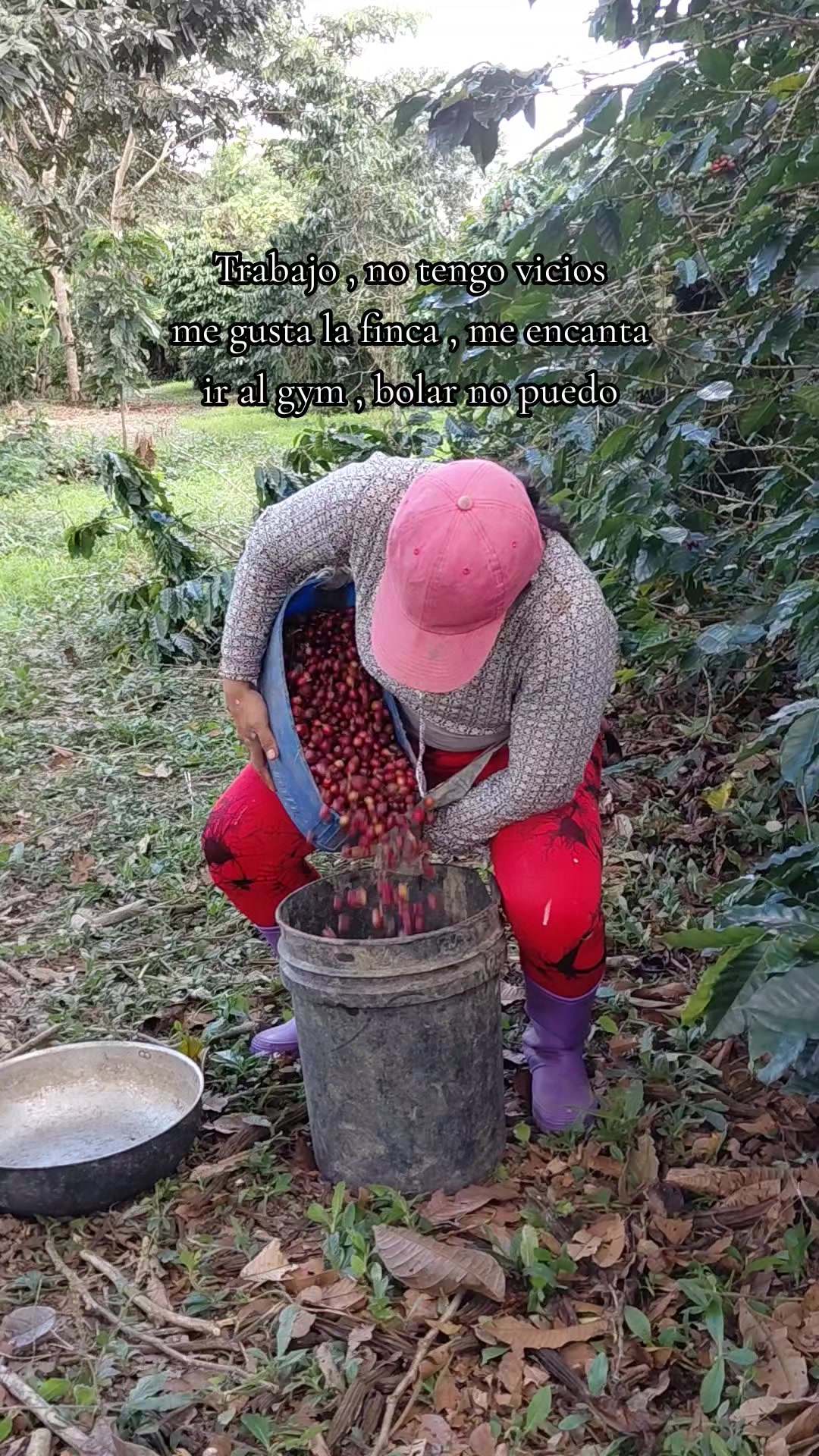 @๐น๐๐๐_๐๐ฆ